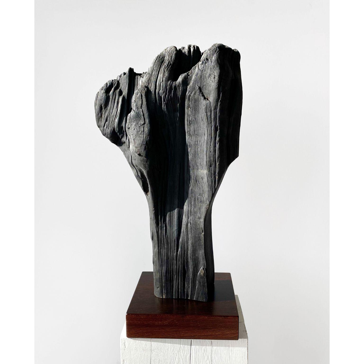 Untitled 37 by Neshka
Dimensions: 20 x 20 x 55 cm
Material: Charred cedar and wenge wood stand

Neshka ( Agnieszka Krusche ), is a native of Kraków, Poland, and a graduate of Alberta University of the Arts in Calgary, Canada.
Since graduating