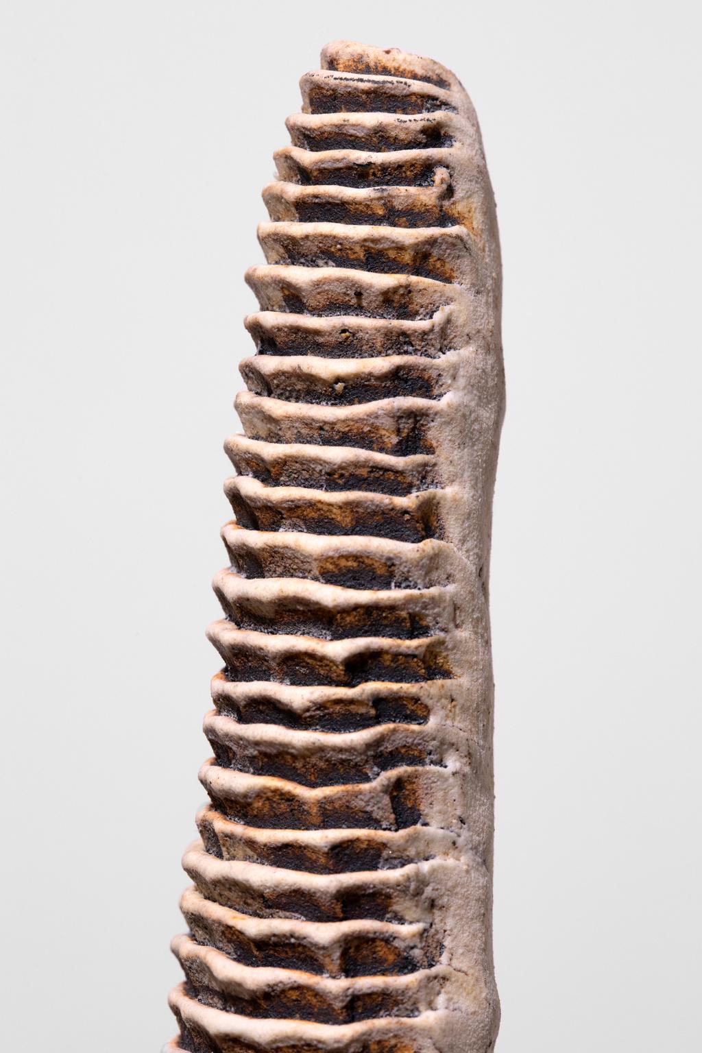 Contemporary Michele Oka Doner Stoneware Figurines Female Torso w/Legs Phallic Shaped Spear