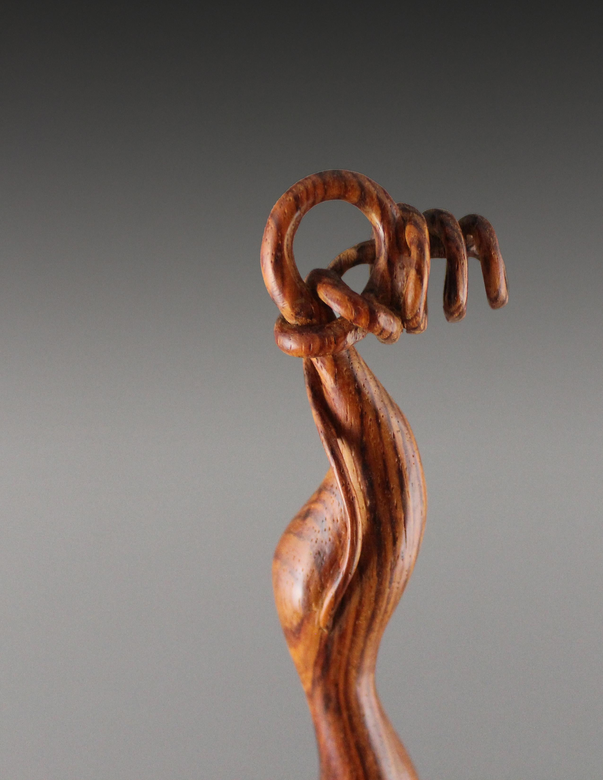 Carved Untitled, Cocobolo Wood sculpture by Nairi Safaryan For Sale