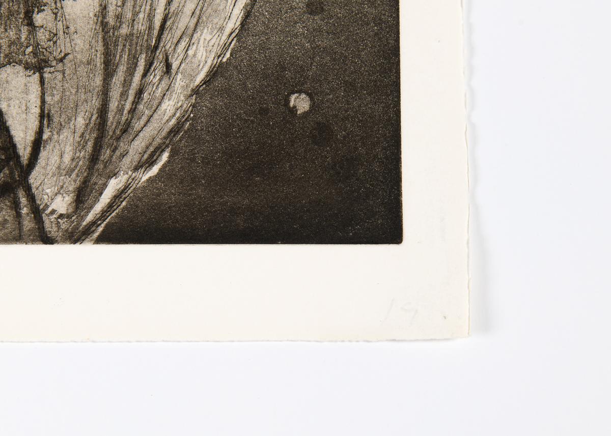 Untitled Etching 19 Print of a Planet, United States, 2003 In Good Condition For Sale In New York, NY