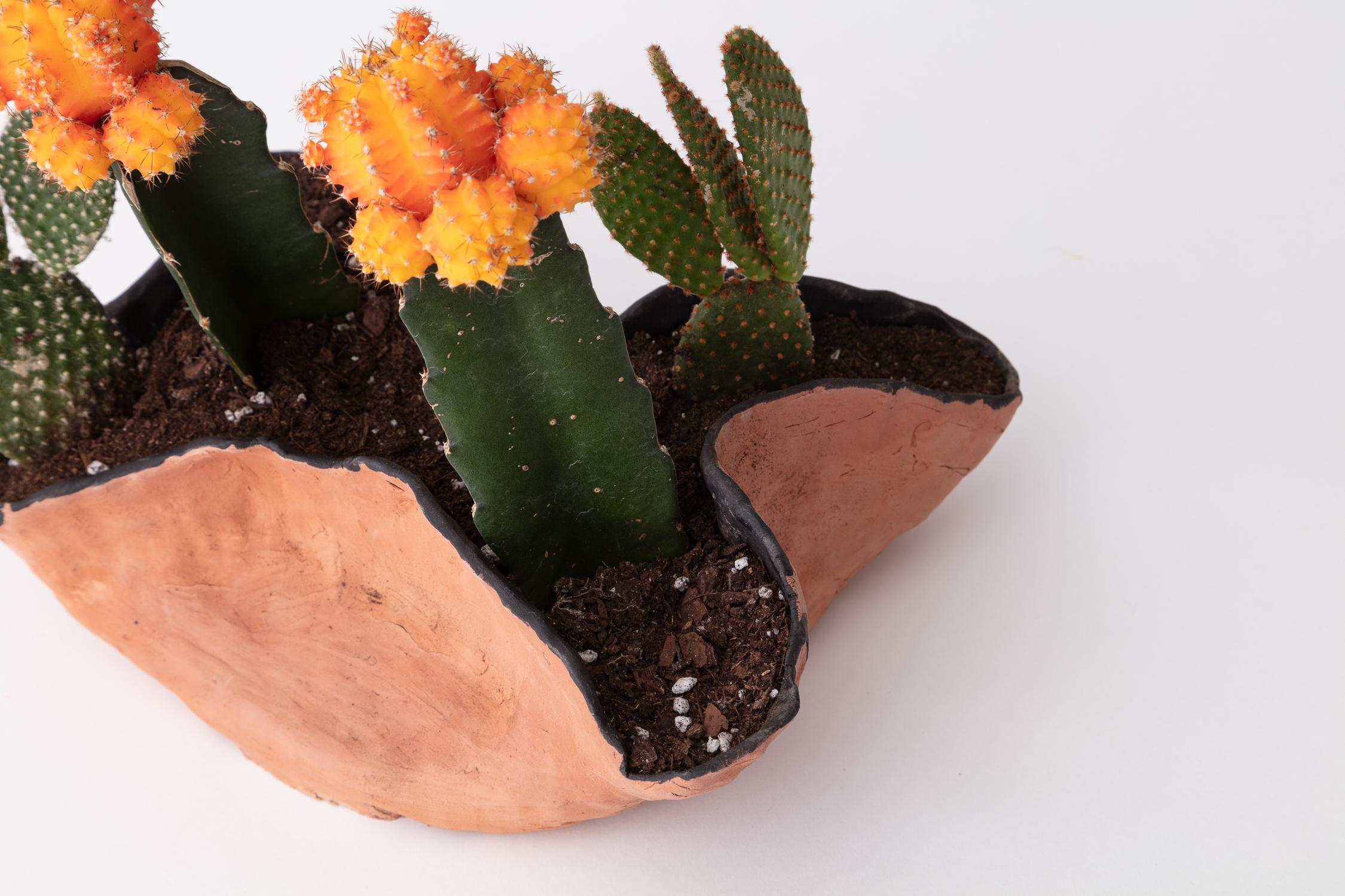American Untitled Handmade Clay Planter with Cacti Assortment Unique Edition