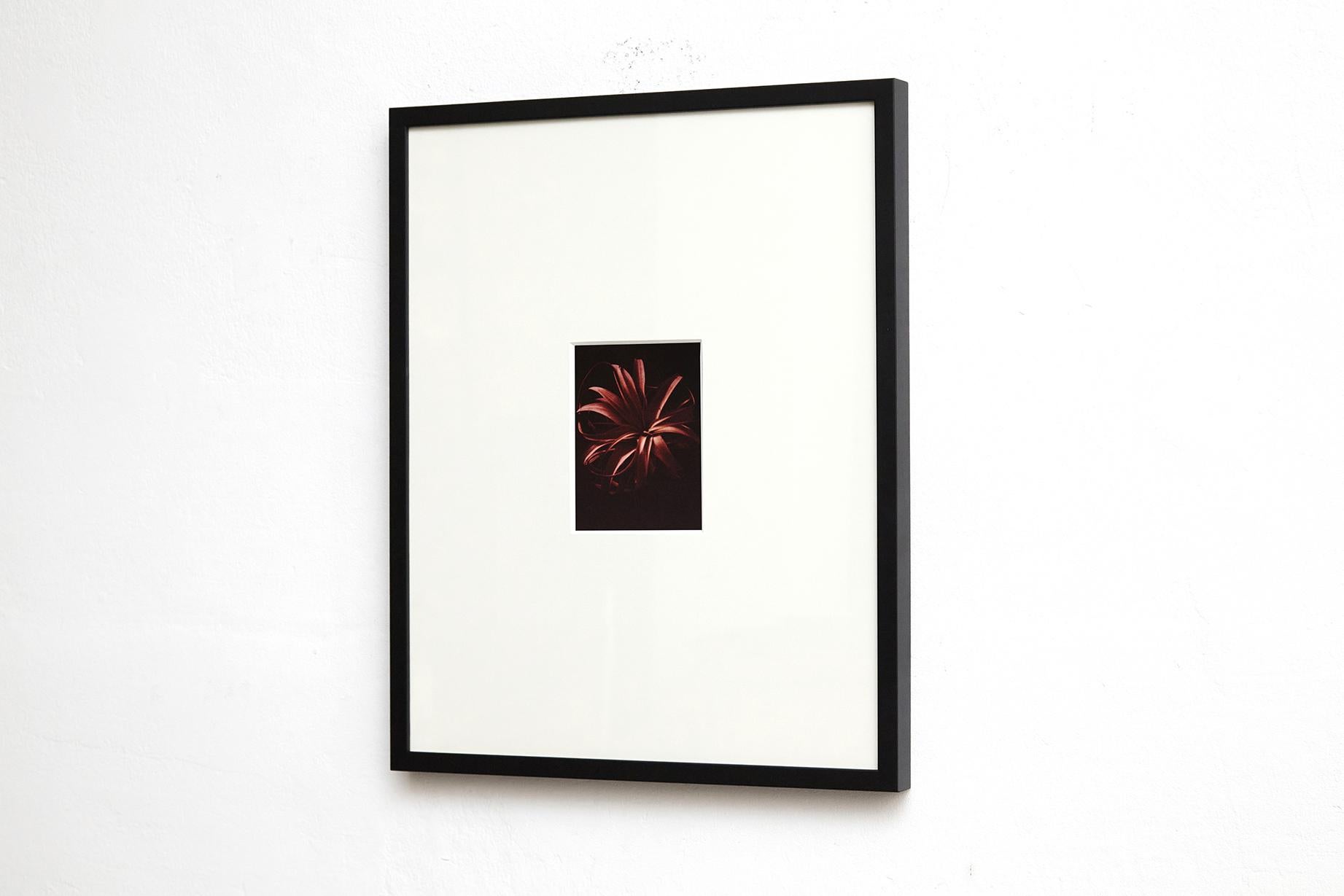 Spanish Untitled Photography from the 'Cuatricomia' Collection by David Urbano For Sale