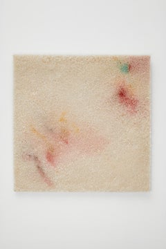 'Untitled' Saltwork