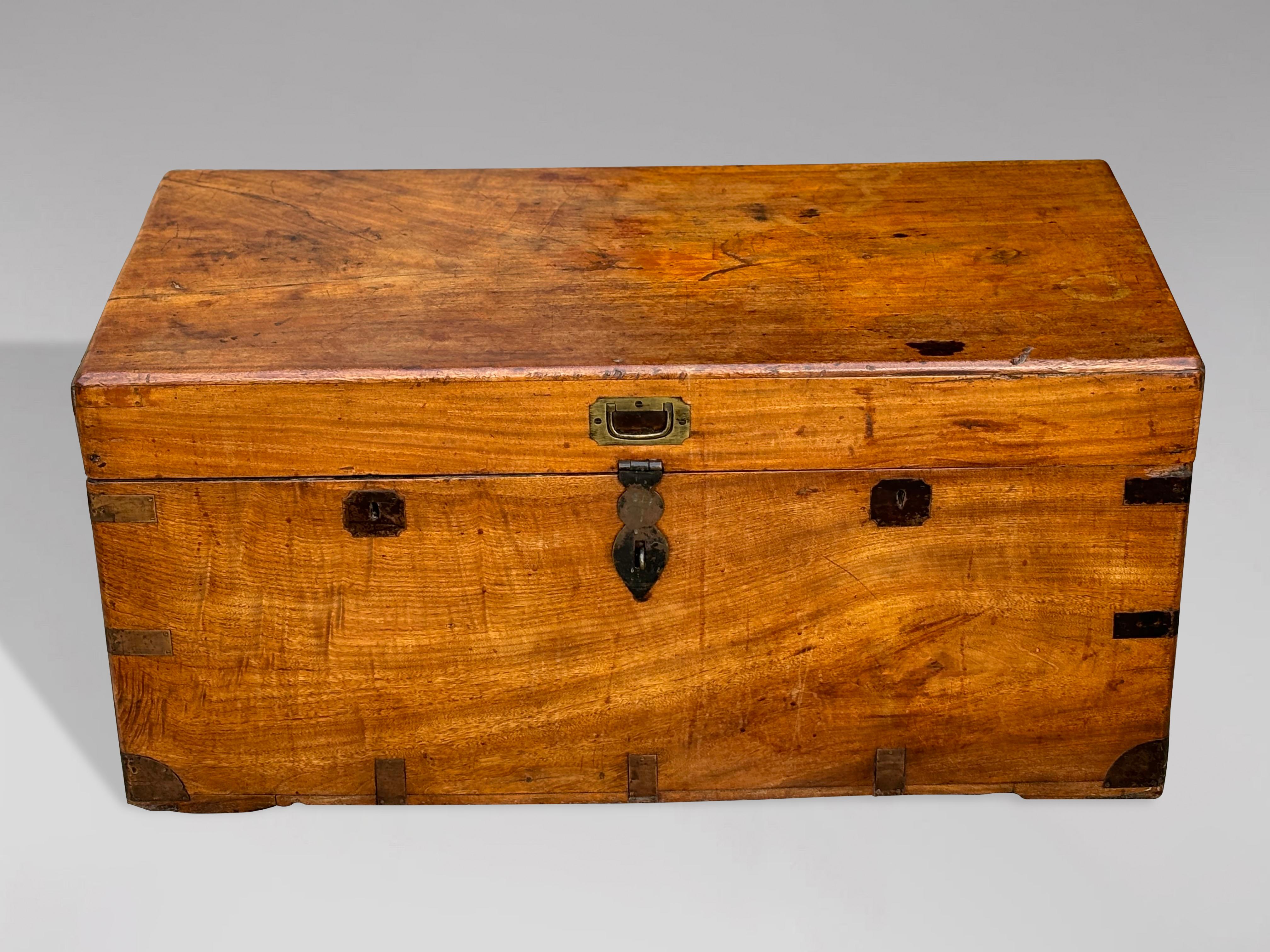 Victorian Untouched 19th Century Campaign Camphor Wood Travelling Trunk