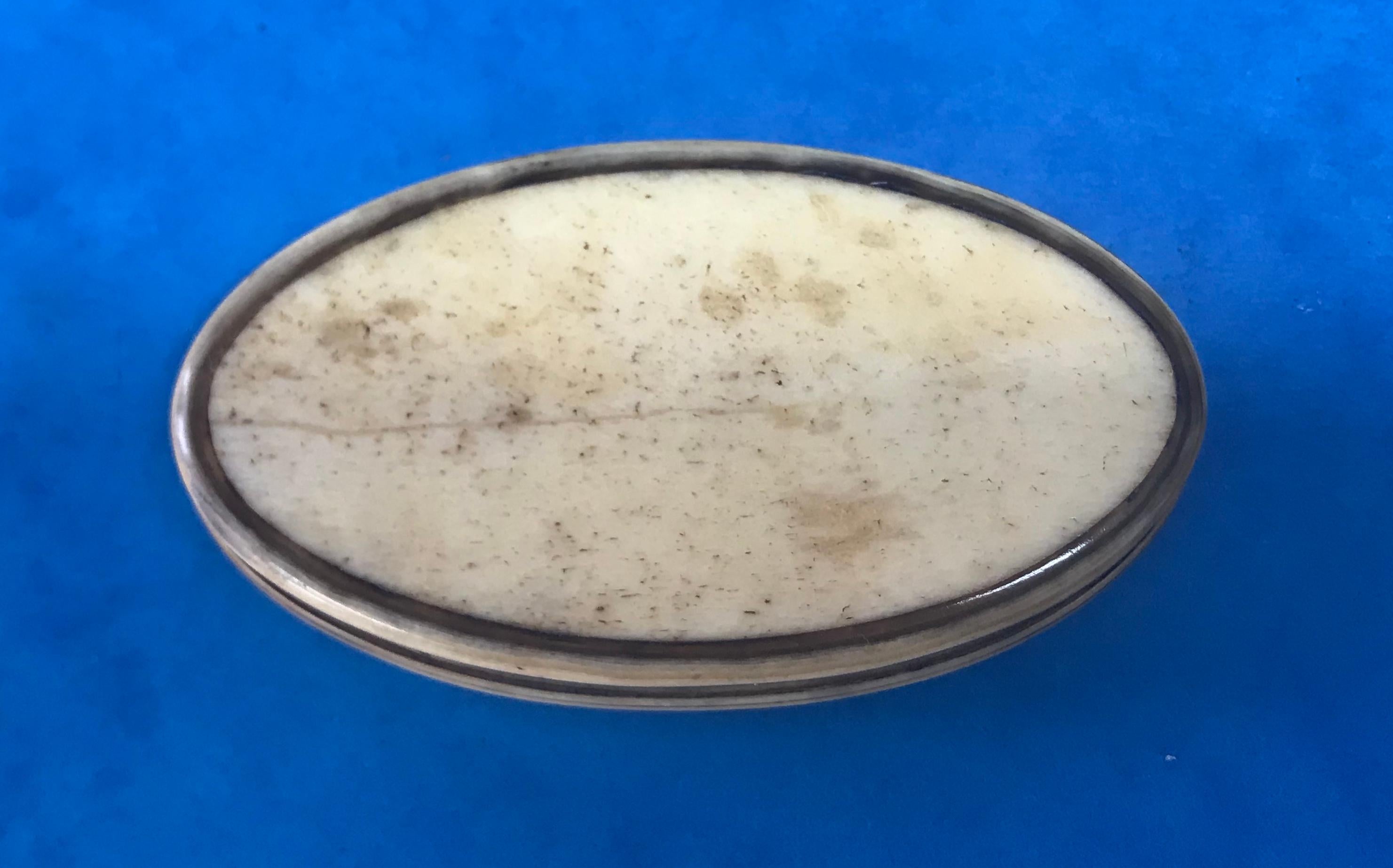 Unusual 18th Century Snuff Box In Good Condition For Sale In Windsor, Berkshire