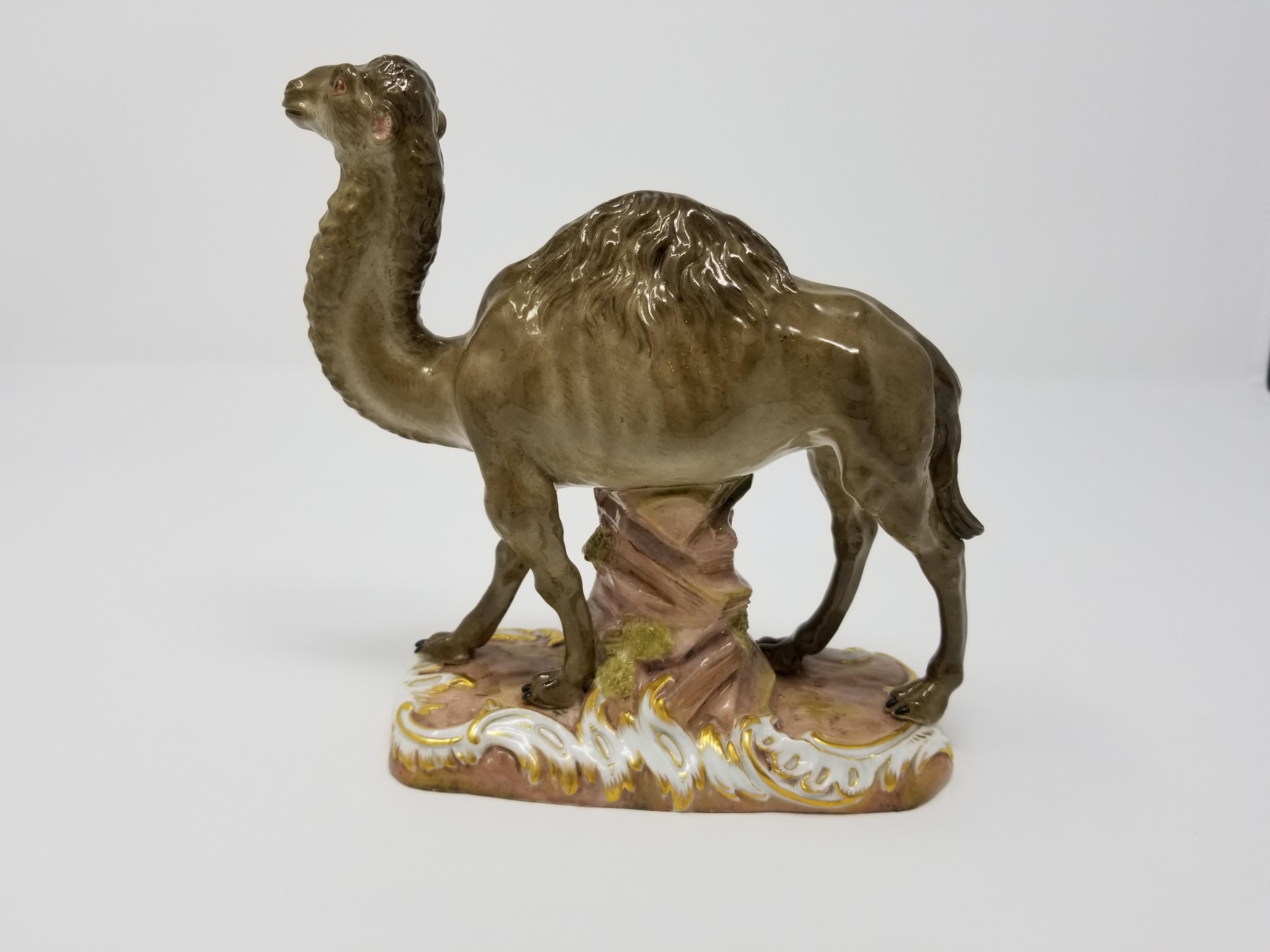 Figurine de chameau Meissen du 19e siècle, avec marque de double épée croisée sous glaçure bleue, d'après J. J. Kandler.
Modèle naturel au-dessus d'un affleurement rocheux sur une base moulée à volutes et rehaussée de dorures. En dessous se trouve