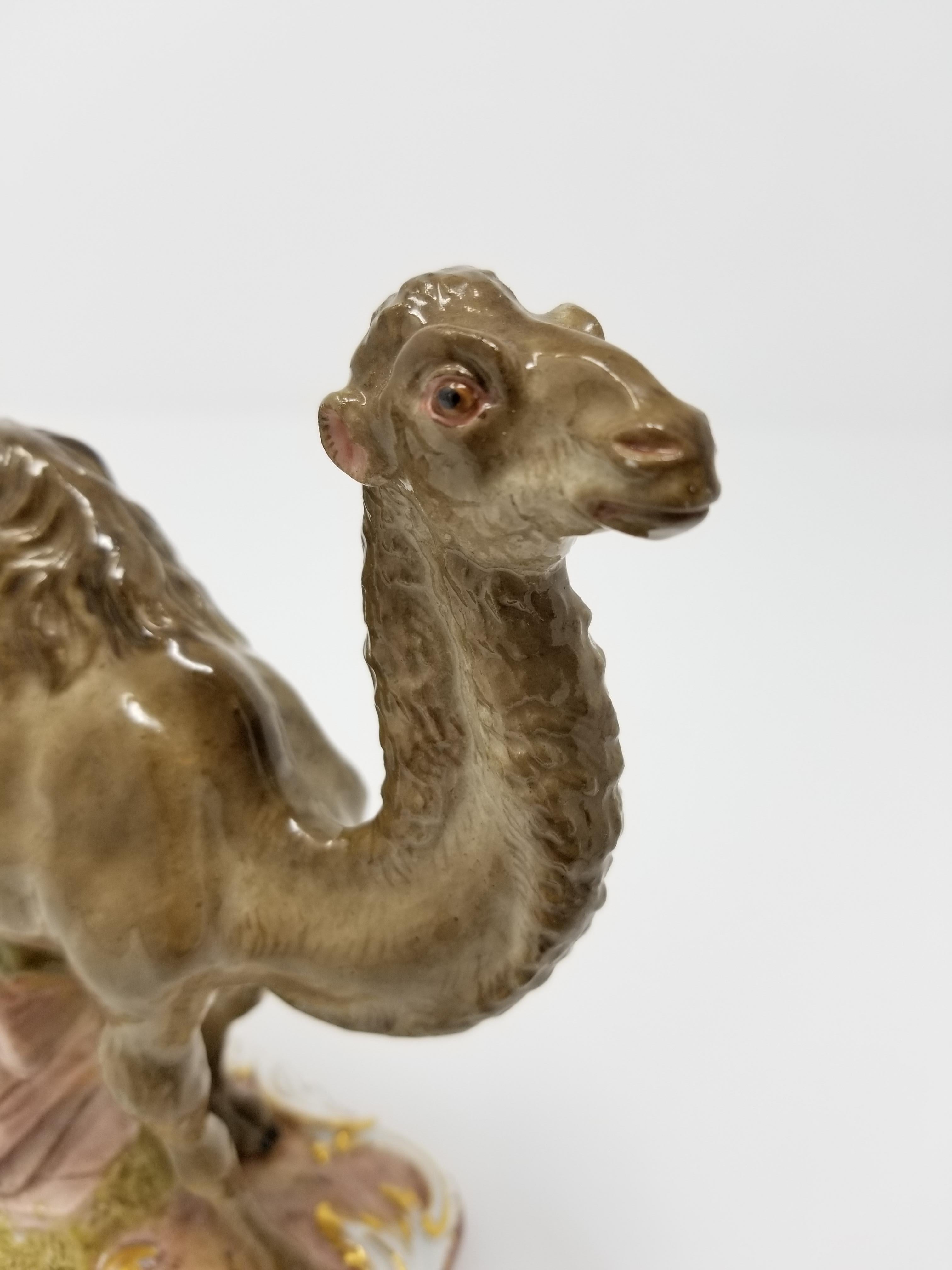Ungewöhnliche Meissener Figur einer Kamel aus dem 19. Jahrhundert nach einem Modell von J. Kandler (Vergoldet) im Angebot
