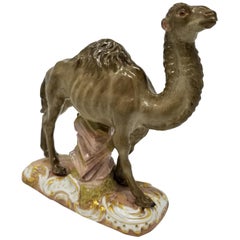 Unusual 19th Century Meissen Figure of a Camel after a Model by J. J. Kandler