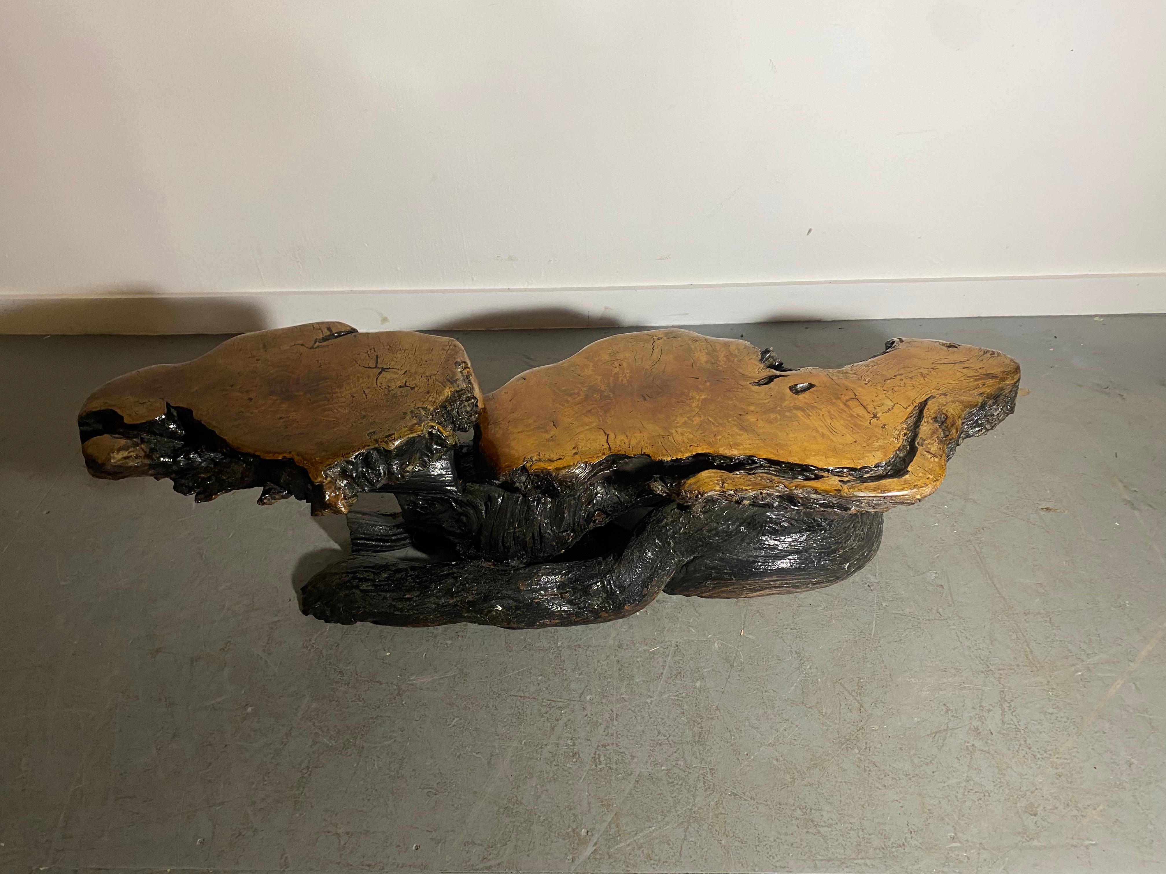Unusual 2-tier organic root table / stand..rustic, adirondack, Stunning burl wood..Sculptural Blackened root base. Wonderful form and patina. Hand delivery avail to New York City of anywhere en route from Buffalo NY.