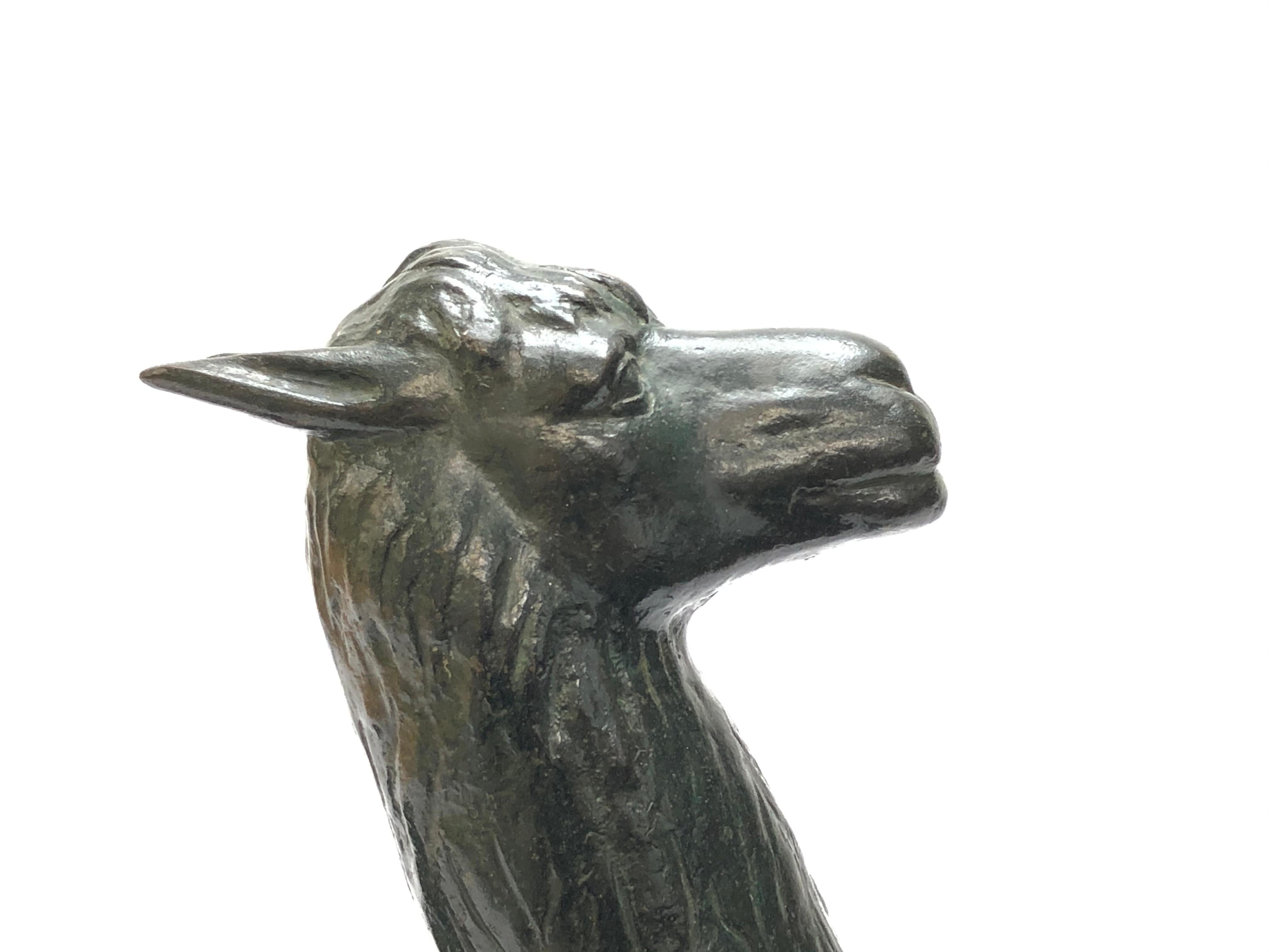 Unusual 20th Century South American Bronze Model of a Llama In Good Condition In Henley-on-Thames, Oxfordshire