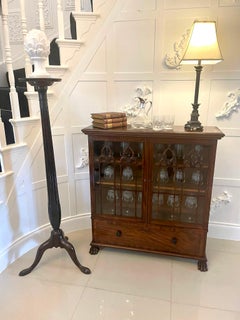 Unusual Antique Regency Quality Mahogany Astral Glazed Bookcase
