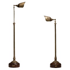 Unusual Brass Reading Lamp(s)
