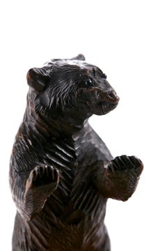 Unusual Carved Black Forest Bear Match Box Striker