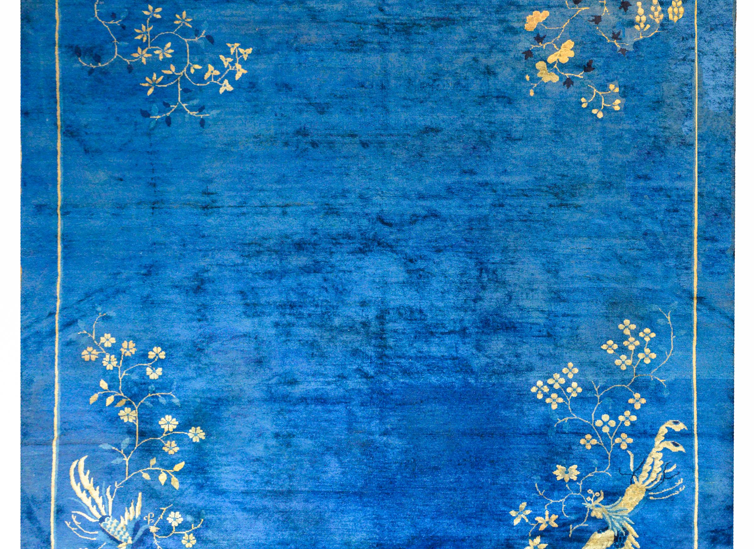 An unusual Chinese Art Deco rug with a wonderful bold solid indigo field and flowering tree branch in each corner, each with an auspicious bird including two phoenix, a peacock, and a crane, all woven in pale yellows, creams, and light indigos.