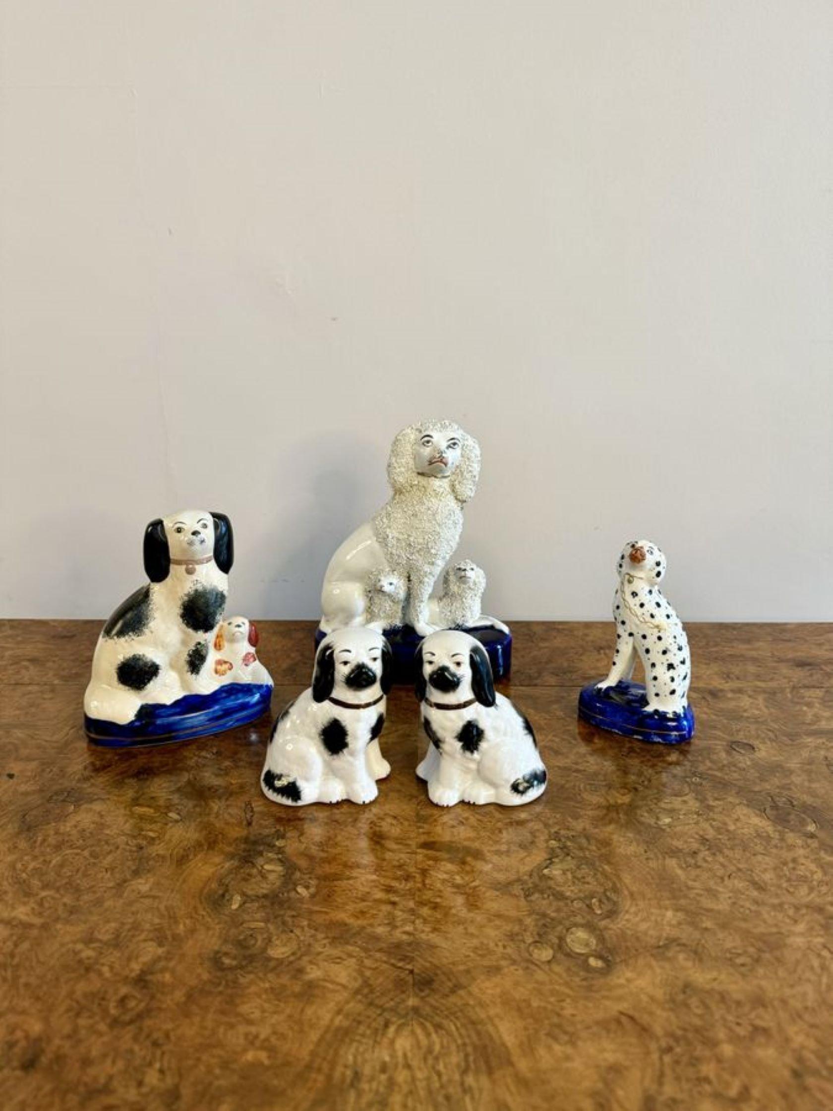 Unusual collection of five antique Staffordshire dogs  In Good Condition For Sale In Ipswich, GB