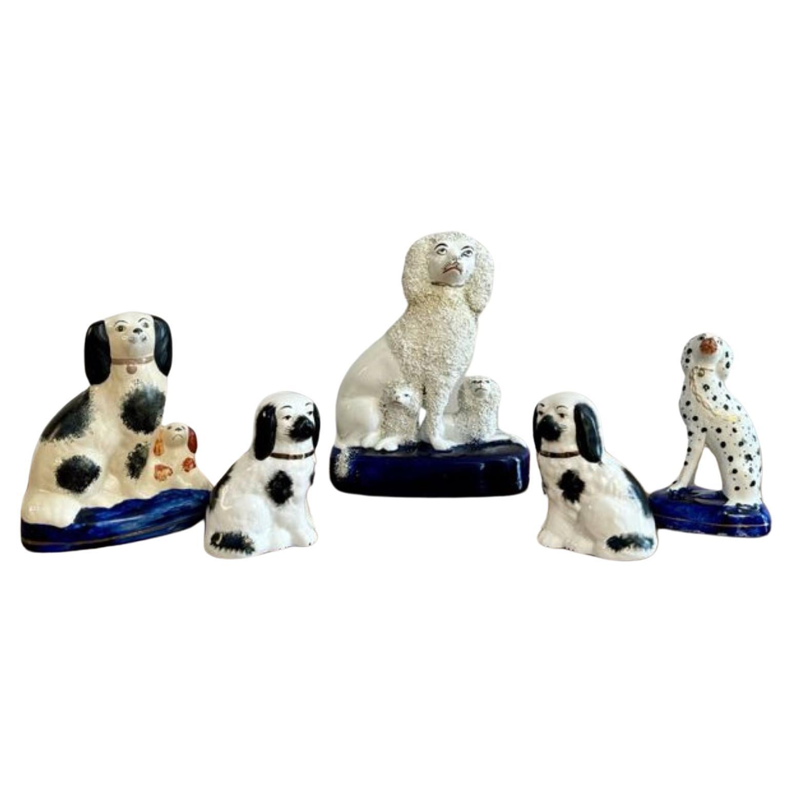 Collection inhabituelle de cinq chiens anciens du Staffordshire 