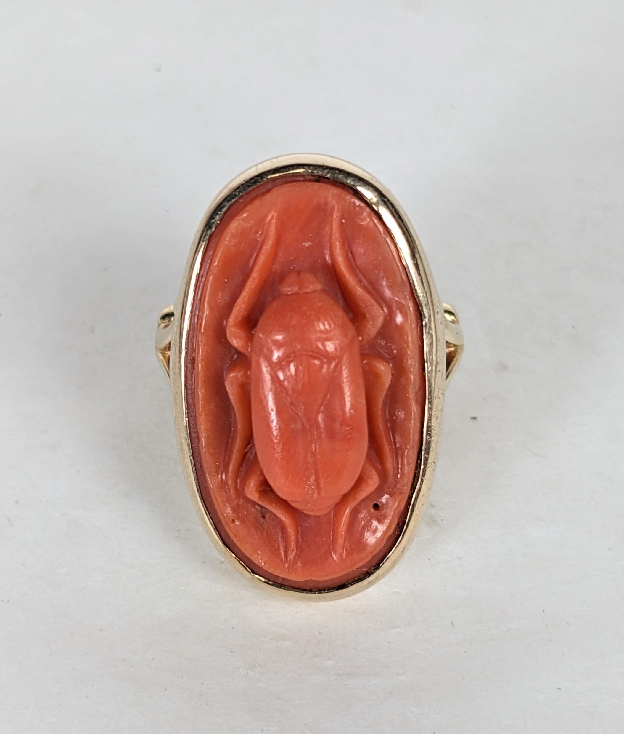 Unusual Coral Scarab Ring from the 1920's. Beautifully carved antique 19th Century Italian coral carving set in the early part of the 20th Century referencing the Egyptian Revival style. Large coral cameo in an oval setting in heavy 14k gold. Marked