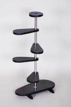 Unusual Czech Black Oak Bauhaus Style Chrome Étagère, Flower Stand, 1930s