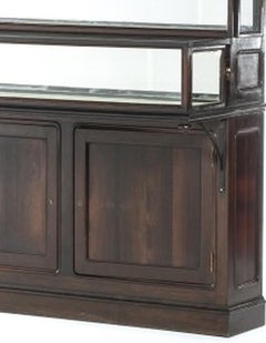 Unusual display case in Noble Wood - 19th century