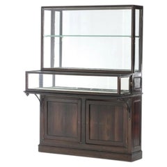 Unusual display case in Noble Wood - 19th century