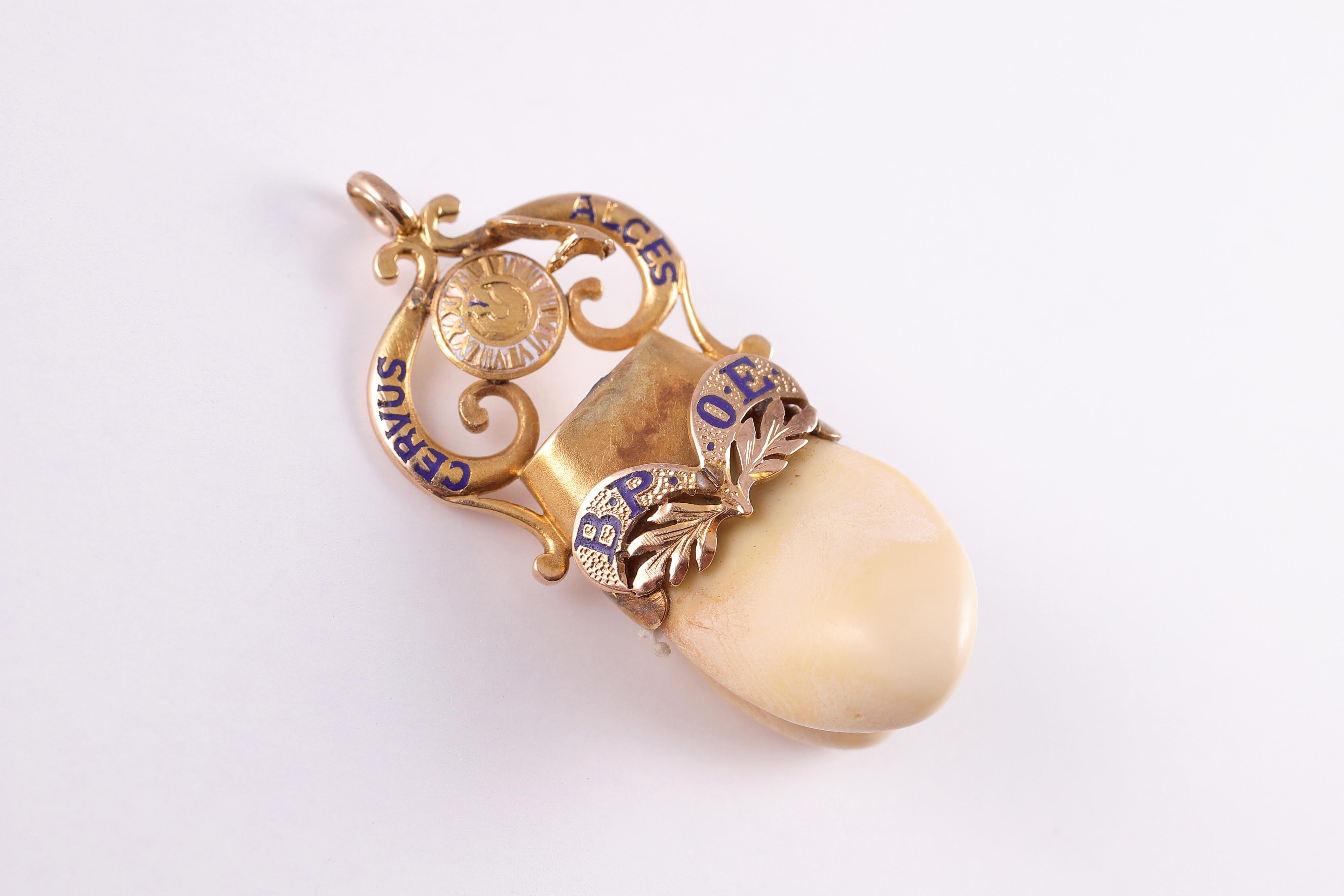 elks tooth pendant