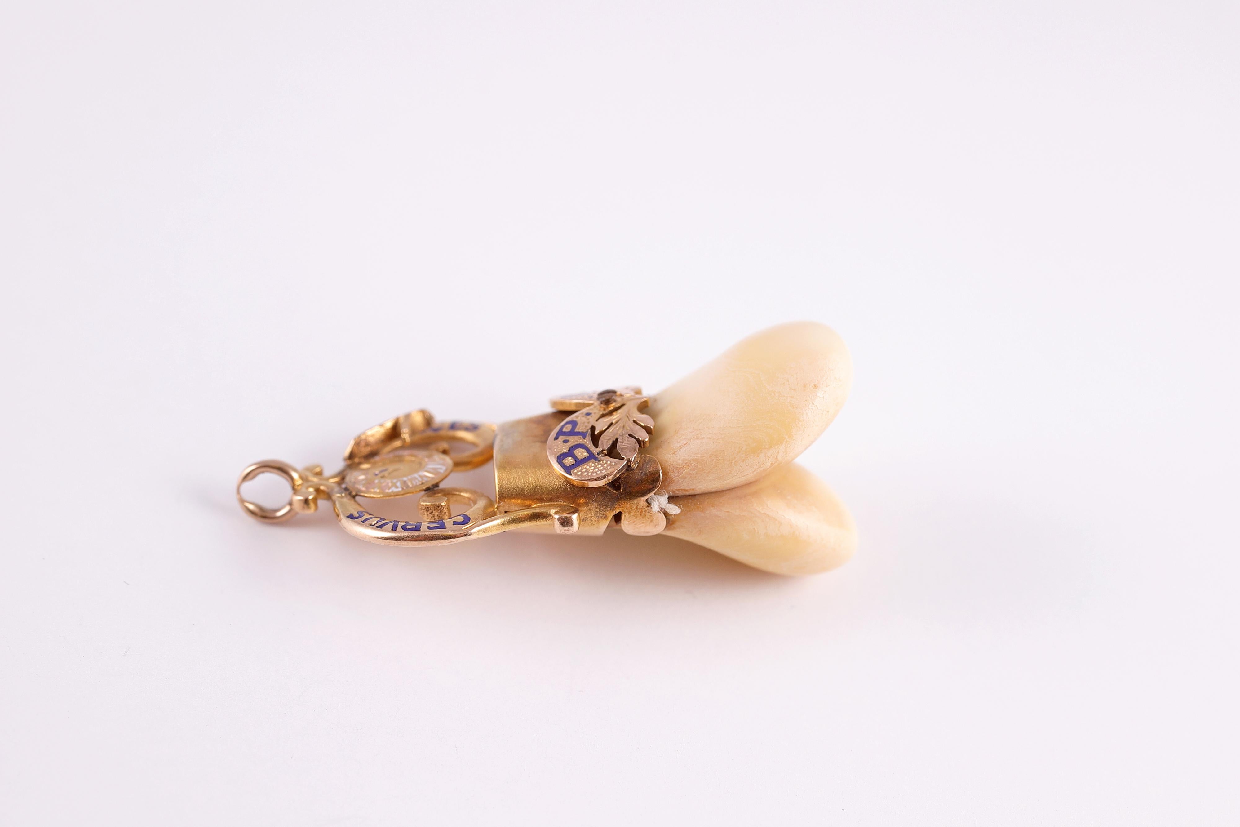 vintage elks lodge ring