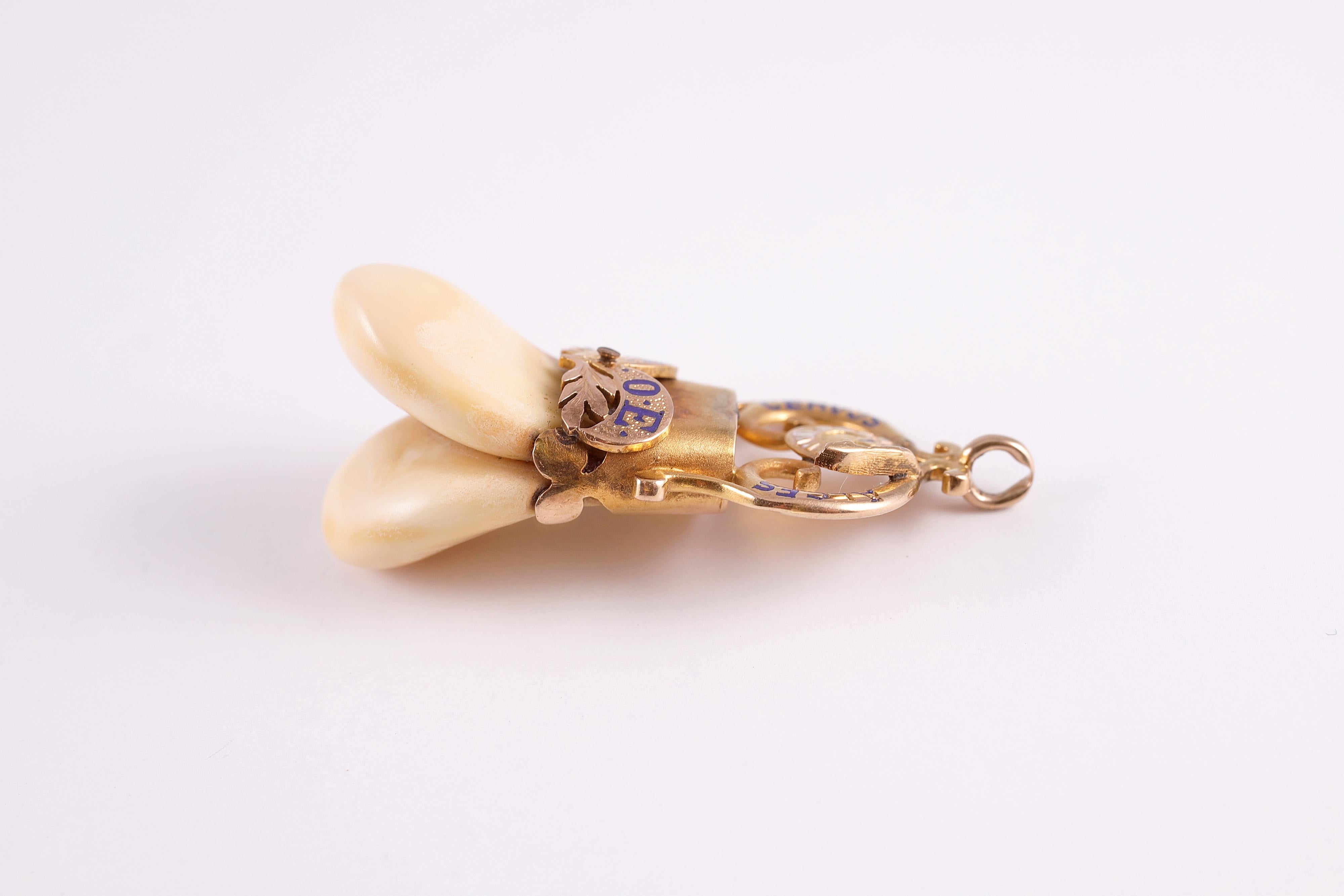 Women's or Men's Unusual Elk's Lodge Tooth Fob