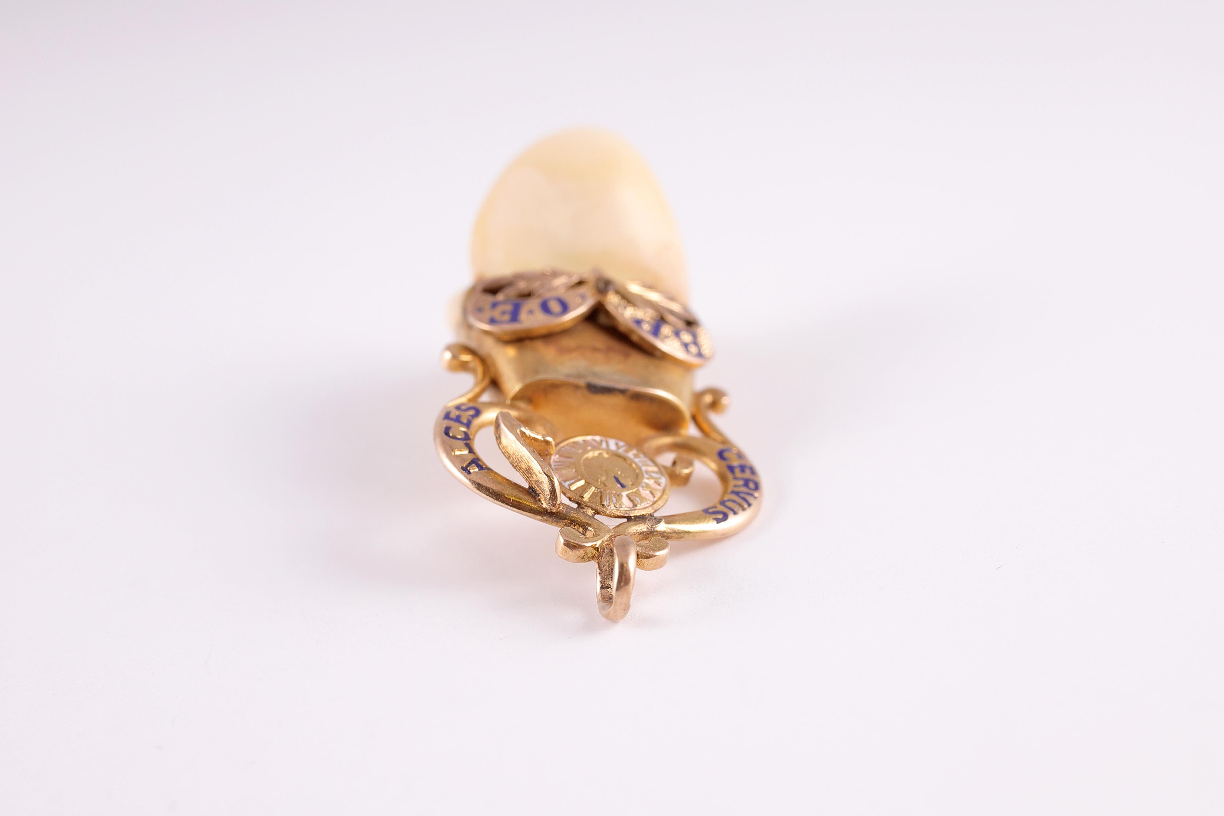 Unusual Elk's Lodge Tooth Fob 1