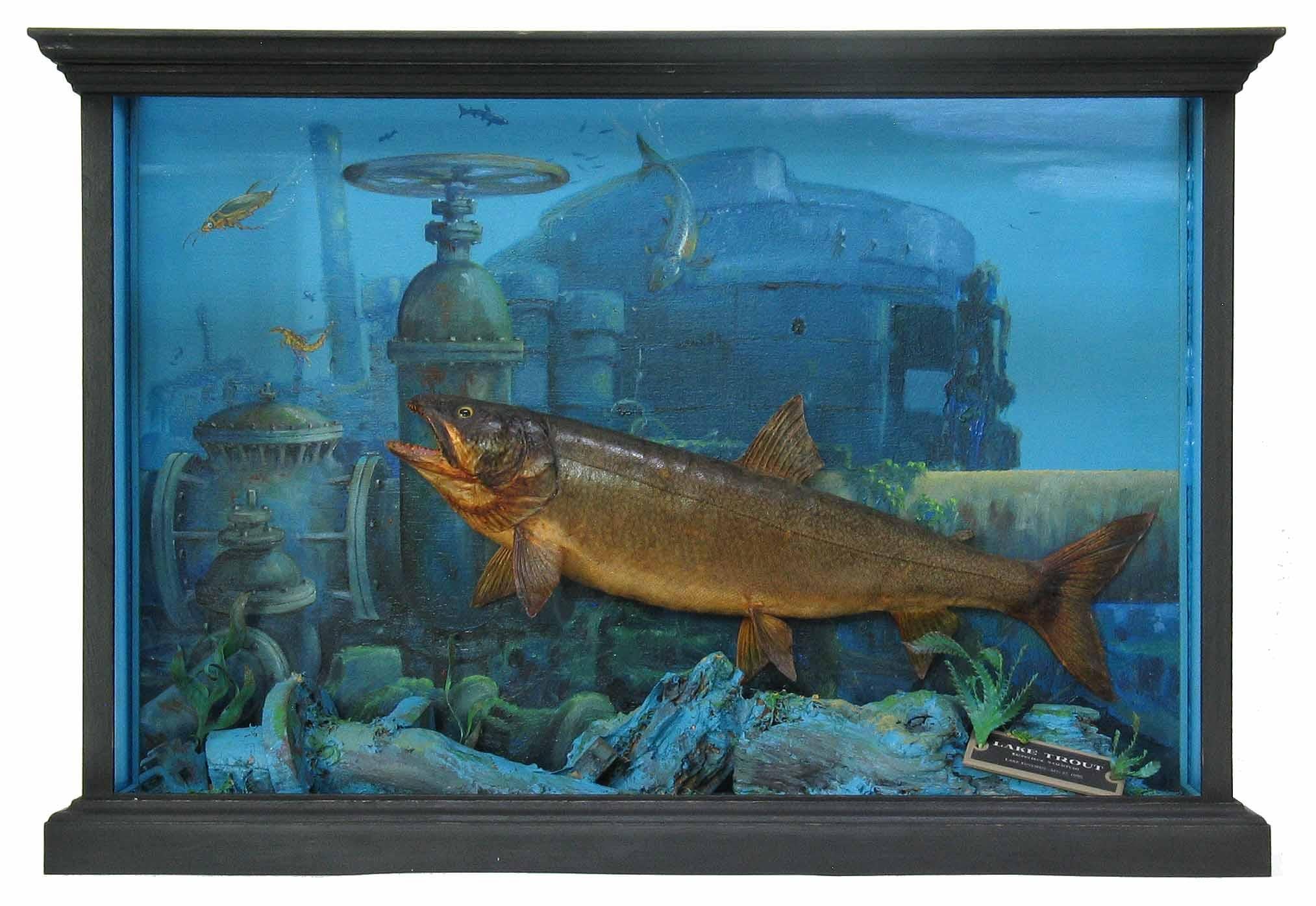 Wood Unusual Fish Taxidermy Diorama Set in Decaying Underwater Industrial Environment