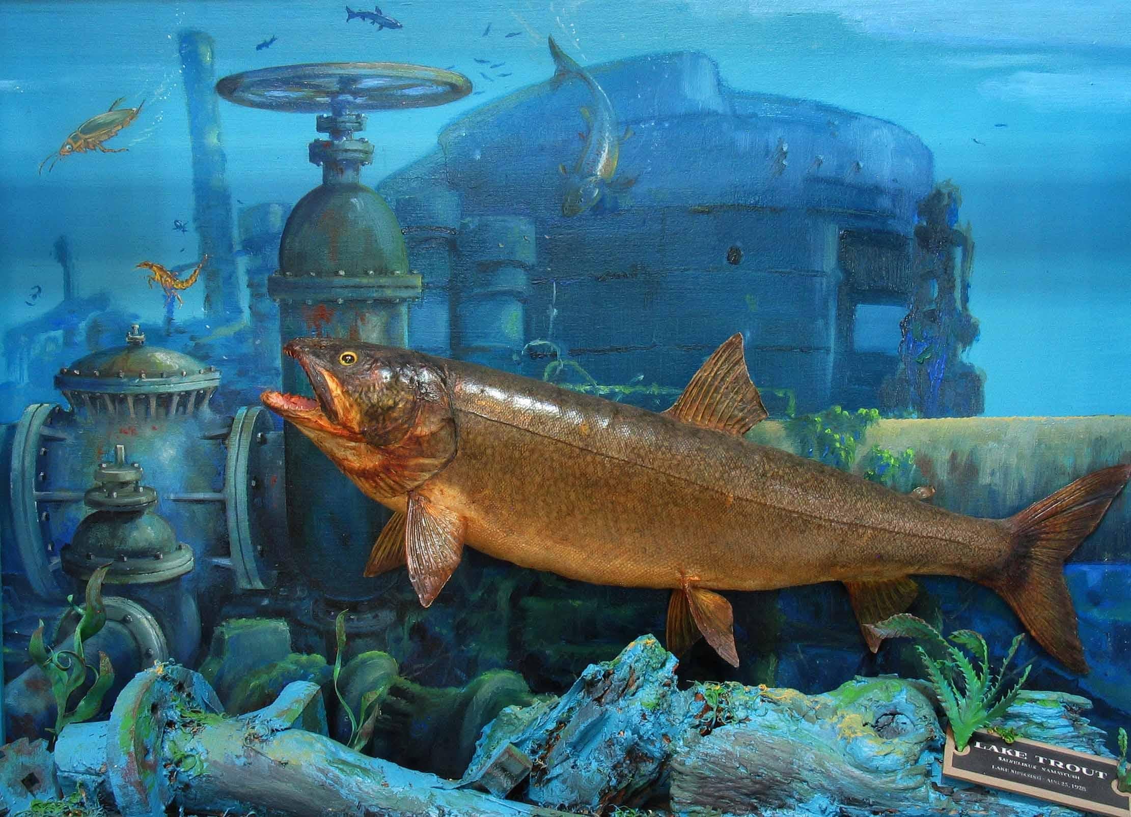 fish diorama