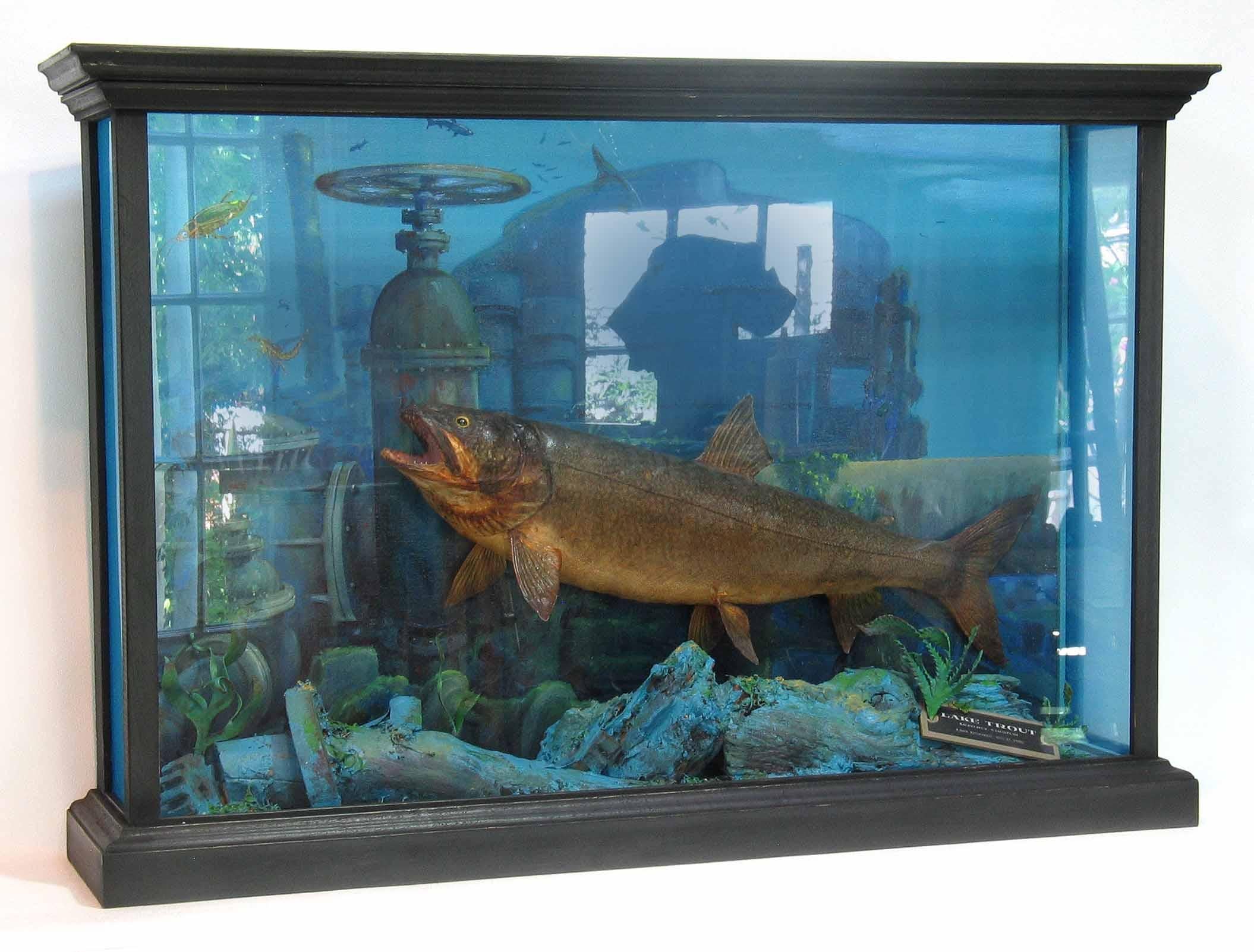Canadian Unusual Fish Taxidermy Diorama Set in Decaying Underwater Industrial Environment