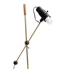 Unusual Floor Lamp by Tapio Wirkkala