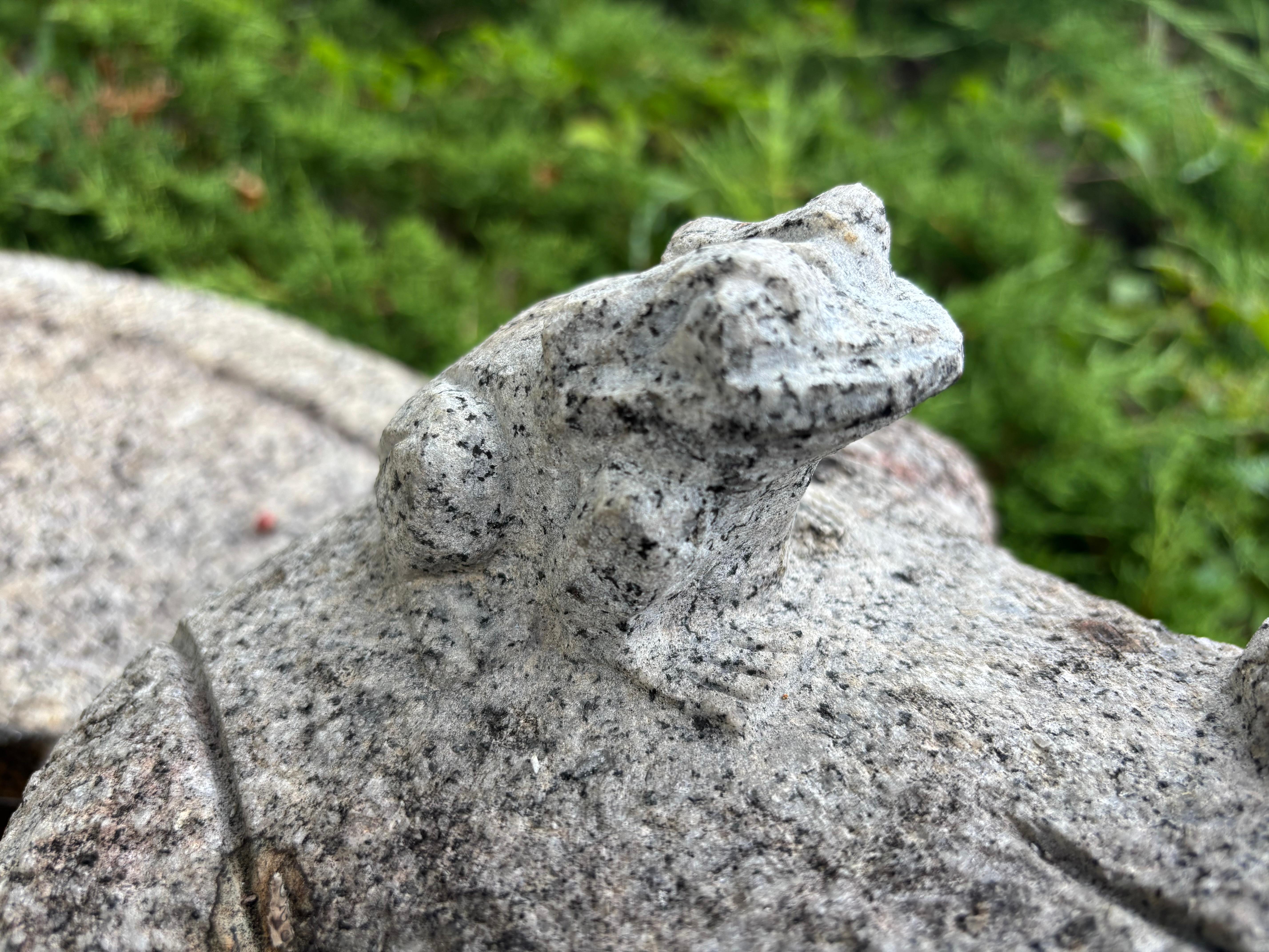 Insólita rana y bebé de piedra antiguos de Japón Alegra tu jardín de corazón  Alma Showa en venta