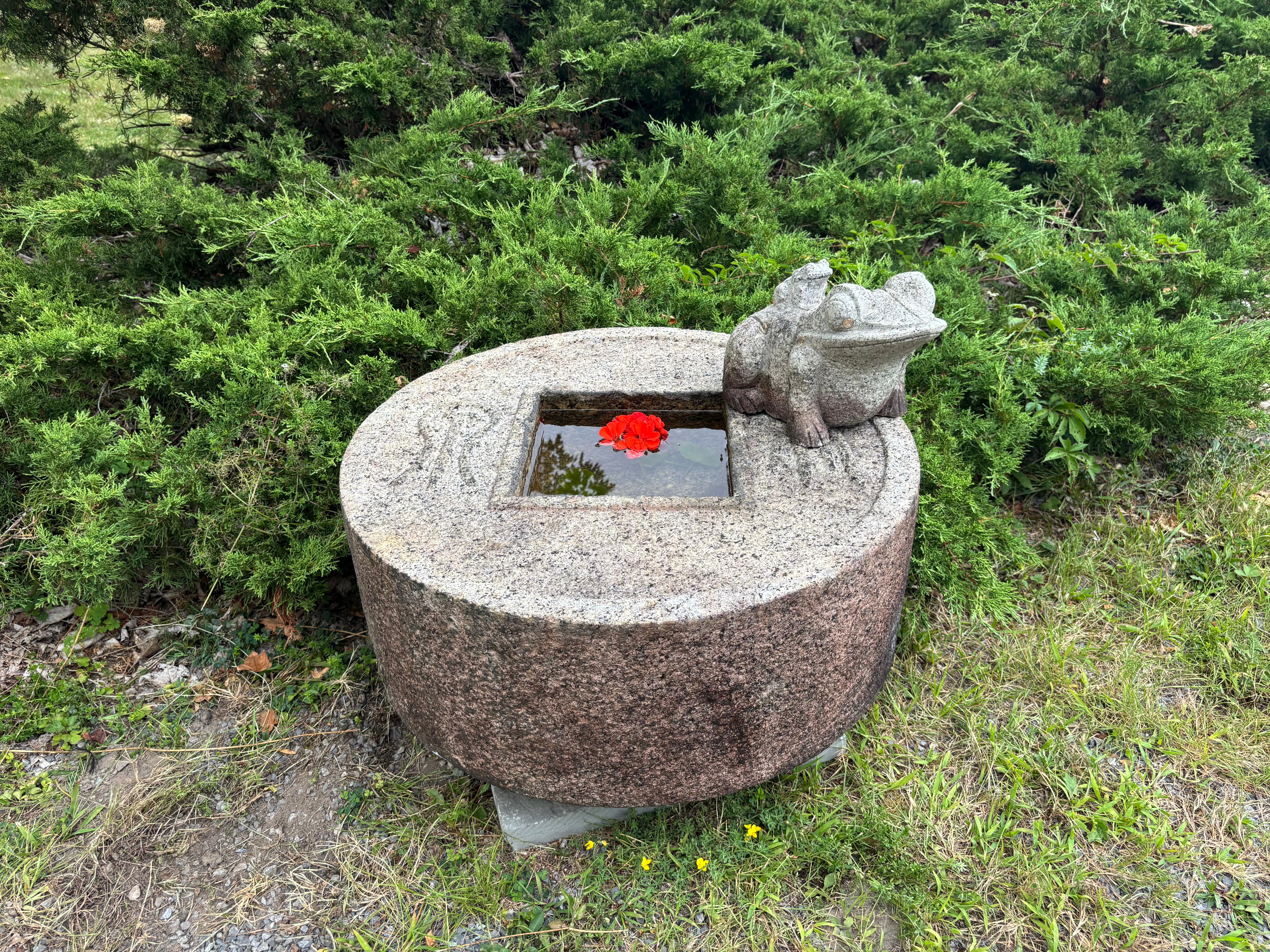 Insólita rana y bebé de piedra antiguos de Japón Alegra tu jardín de corazón  Alma Japonés en venta