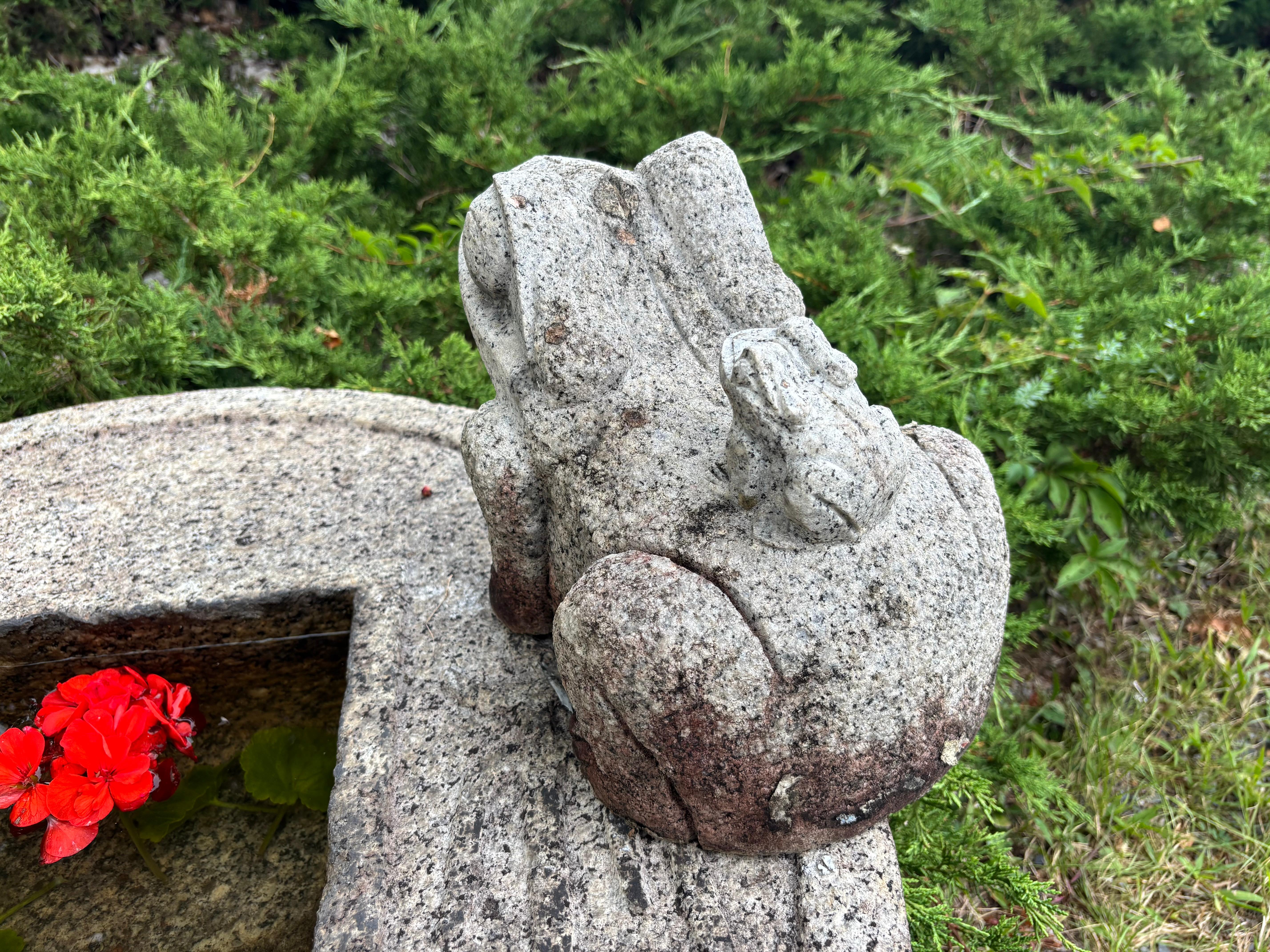 Insólita rana y bebé de piedra antiguos de Japón Alegra tu jardín de corazón  Alma Granito en venta