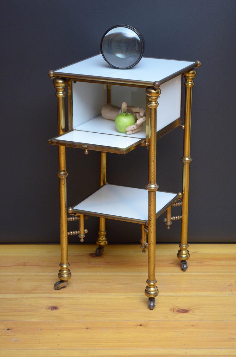 Victorian Unusual Late 19th Century Brass and Milk Glass Cabinet