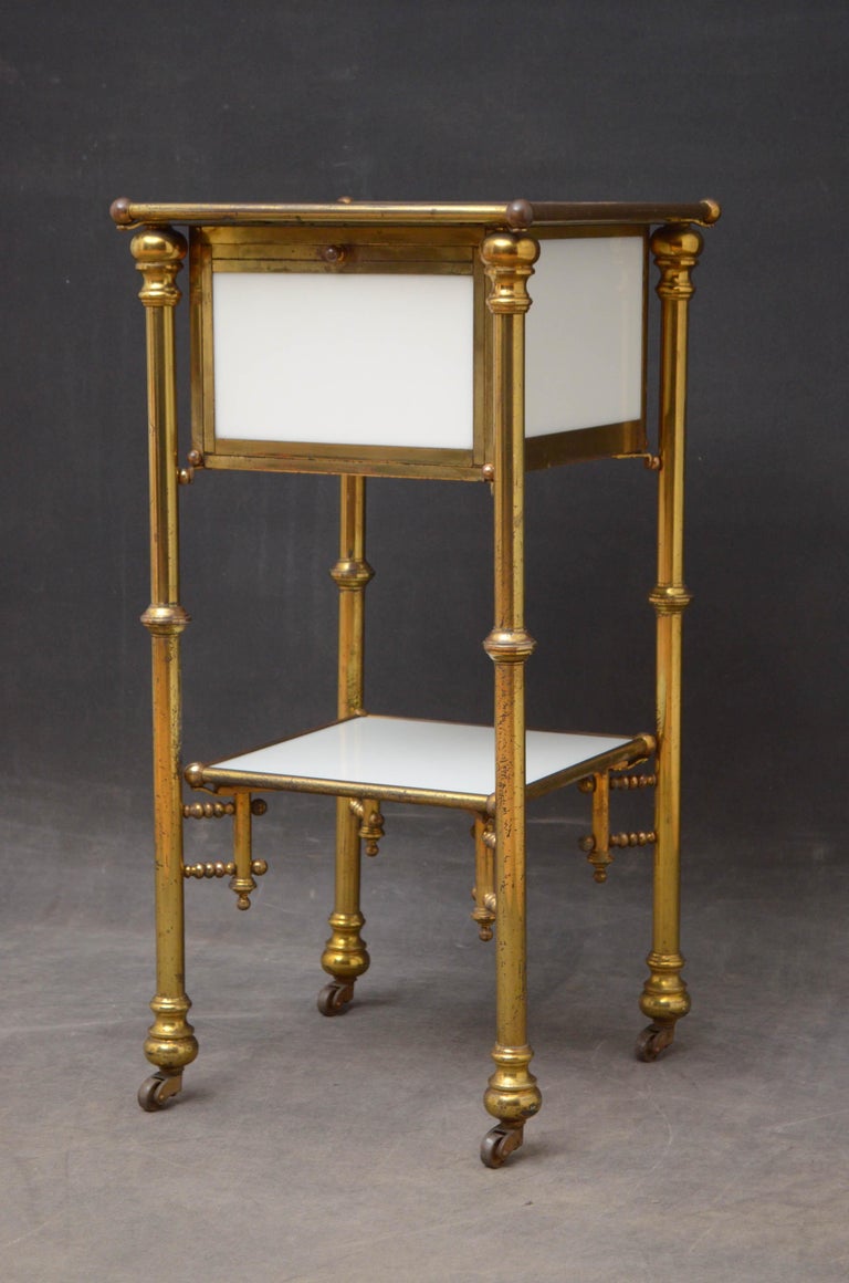 French Unusual Late 19th Century Brass and Milk Glass Cabinet