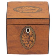 Miniatura inusual de madera satinada de Jorge III Caddy para el té