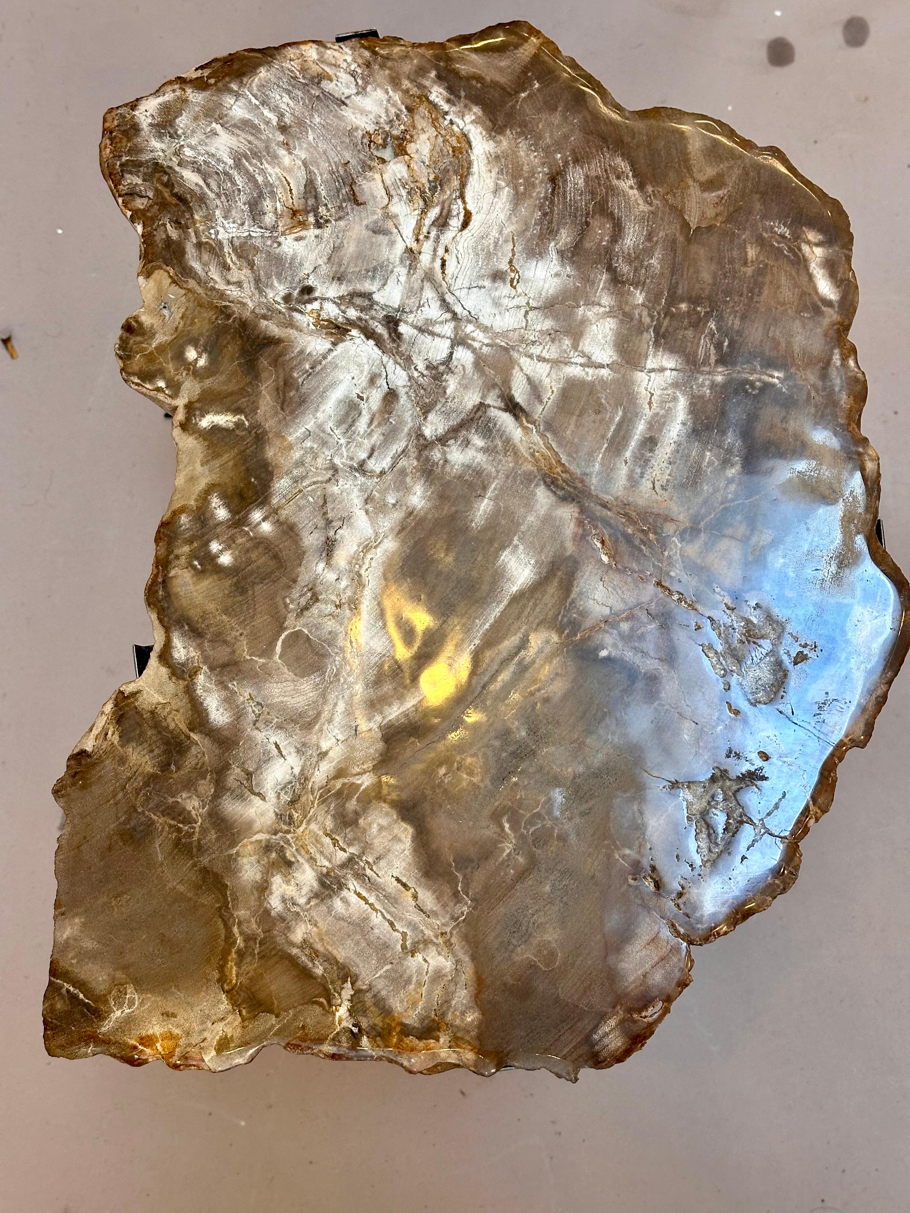 Insolito tavolino moderno con piano in Wood Wood pietrificato di 200 milioni di anni fa. Base cromata su misura. Forma insolita e colori straordinari.