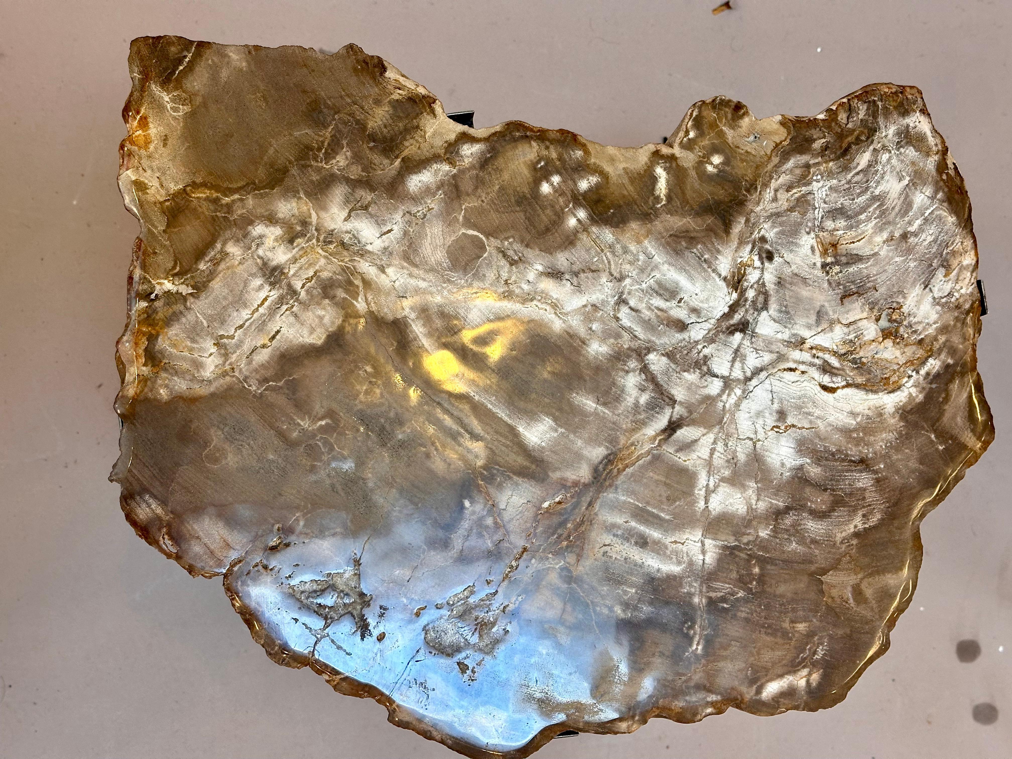 Insolito tavolino moderno con piano in Wood Wood pietrificato di 200 milioni di anni fa. Base cromata su misura. Forma insolita e colori straordinari.