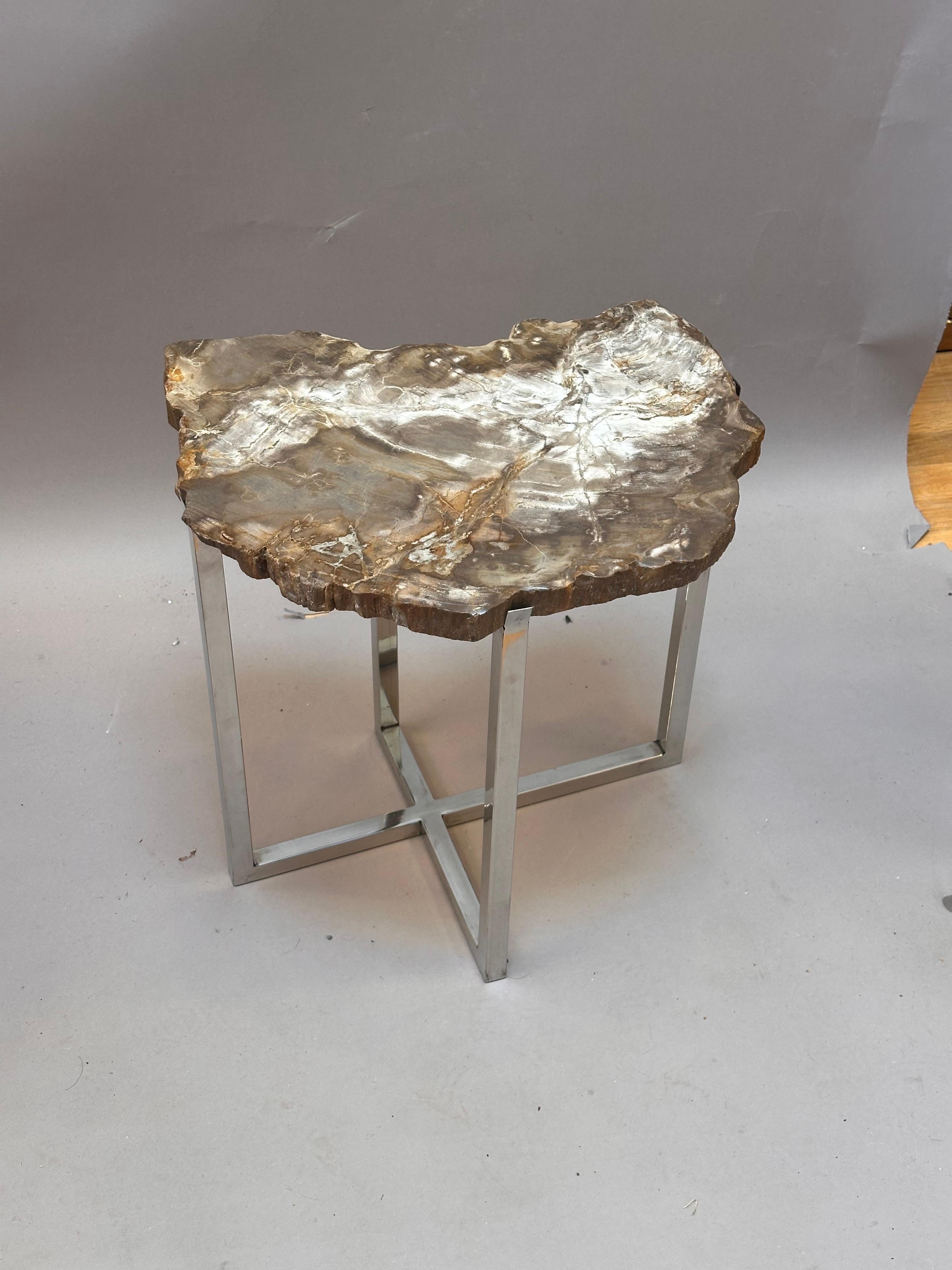 Organico moderno Insolito tavolino moderno con piano in Wood Wood pietrificato risalente a 200 milioni di anni fa in vendita