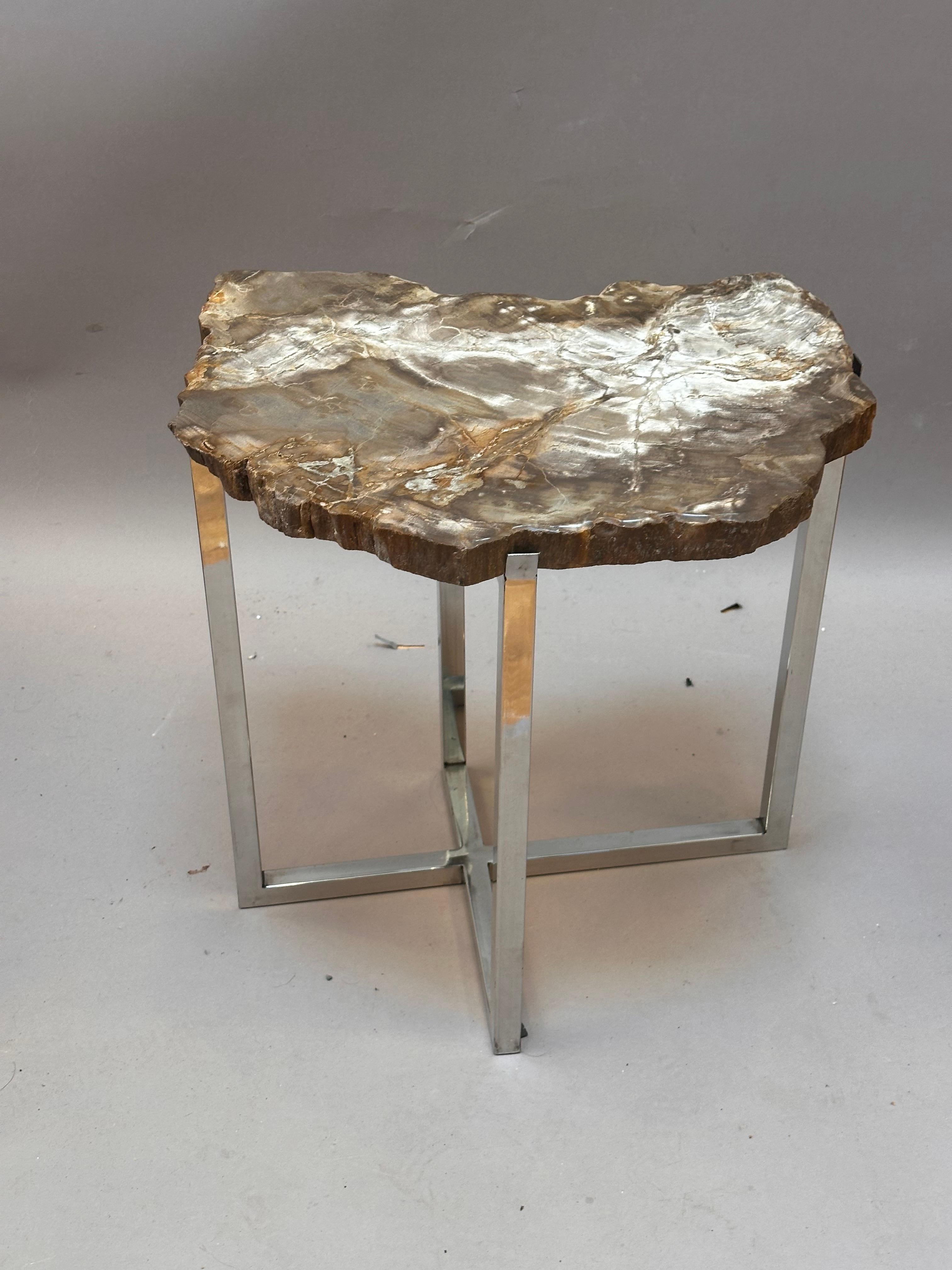 Sconosciuto Insolito tavolino moderno con piano in Wood Wood pietrificato risalente a 200 milioni di anni fa in vendita
