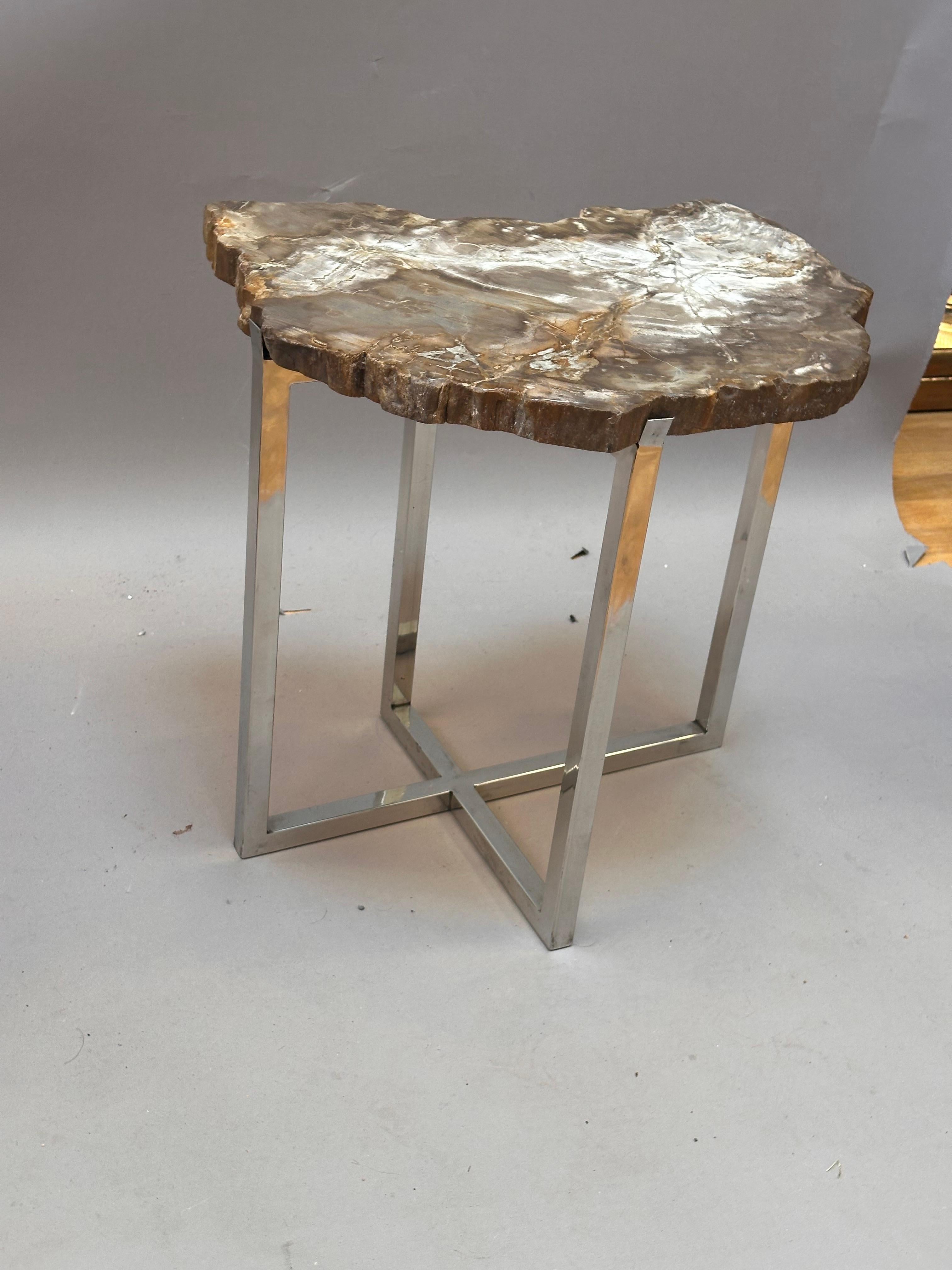 Sconosciuto Insolito tavolino moderno con piano in Wood Wood pietrificato risalente a 200 milioni di anni fa in vendita