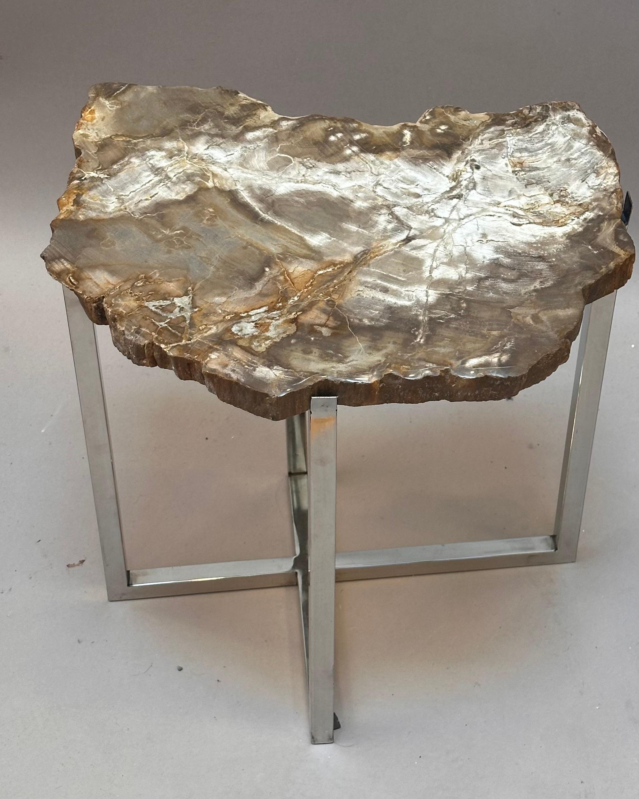 Fatto a mano Insolito tavolino moderno con piano in Wood Wood pietrificato risalente a 200 milioni di anni fa in vendita