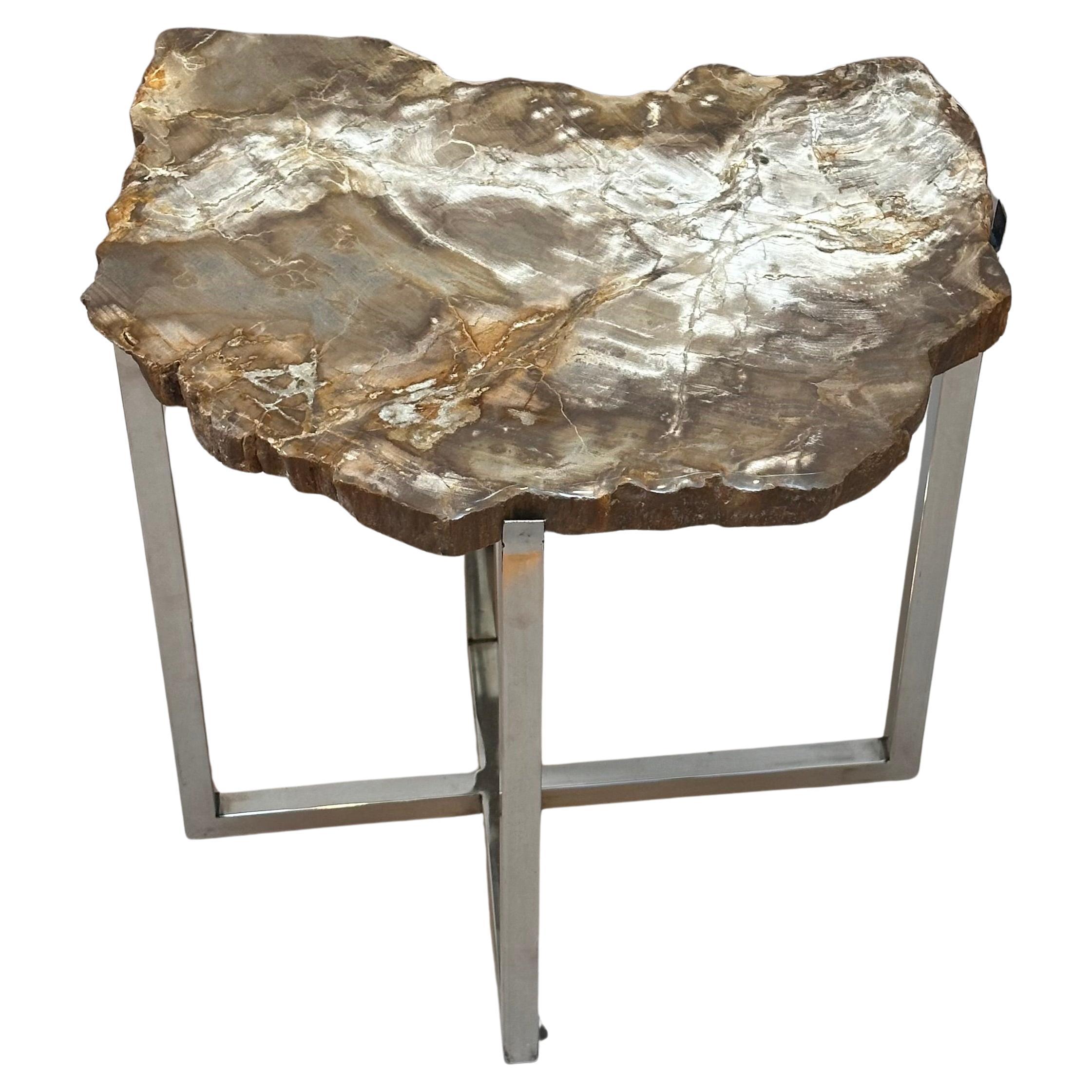 Unusual Modern Side Table with 200 Million Year Old Petrified Wood Top