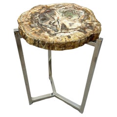 Unusual Modern Side Table with 300 Million Year Old Petrified Wood Top.