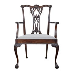 Unusual Oversized Chippendale Style Mahogany Dining Chair for Shop Display