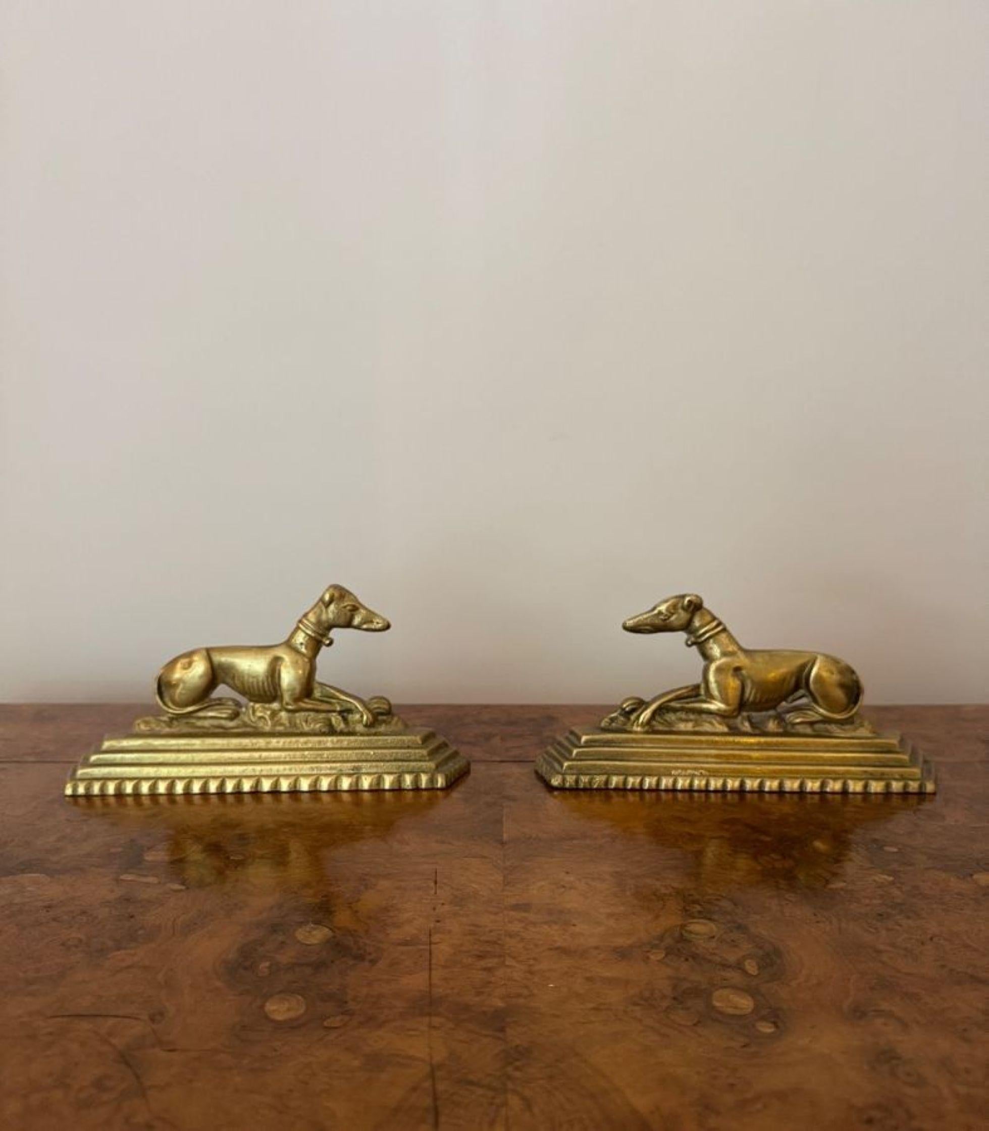 Paire inhabituelle de chiens de feu édouardiens anciens en laiton Bon état - En vente à Ipswich, GB
