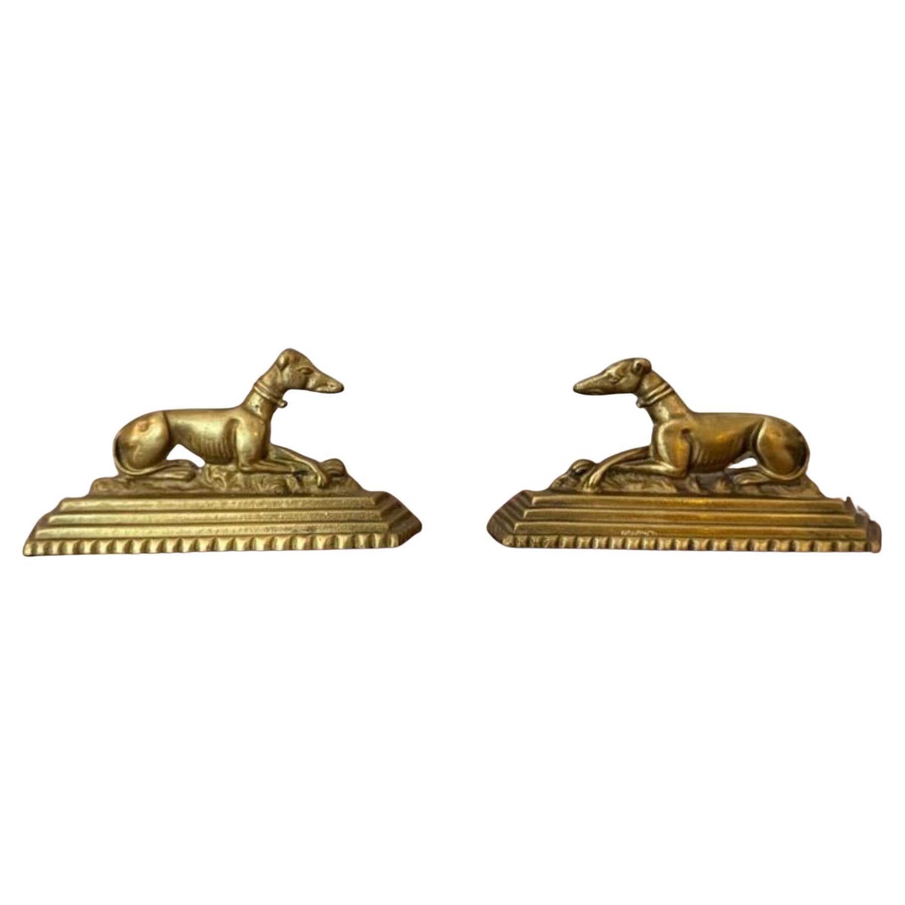 Unusual pair of antique Edwardian brass greyhound fire dogs