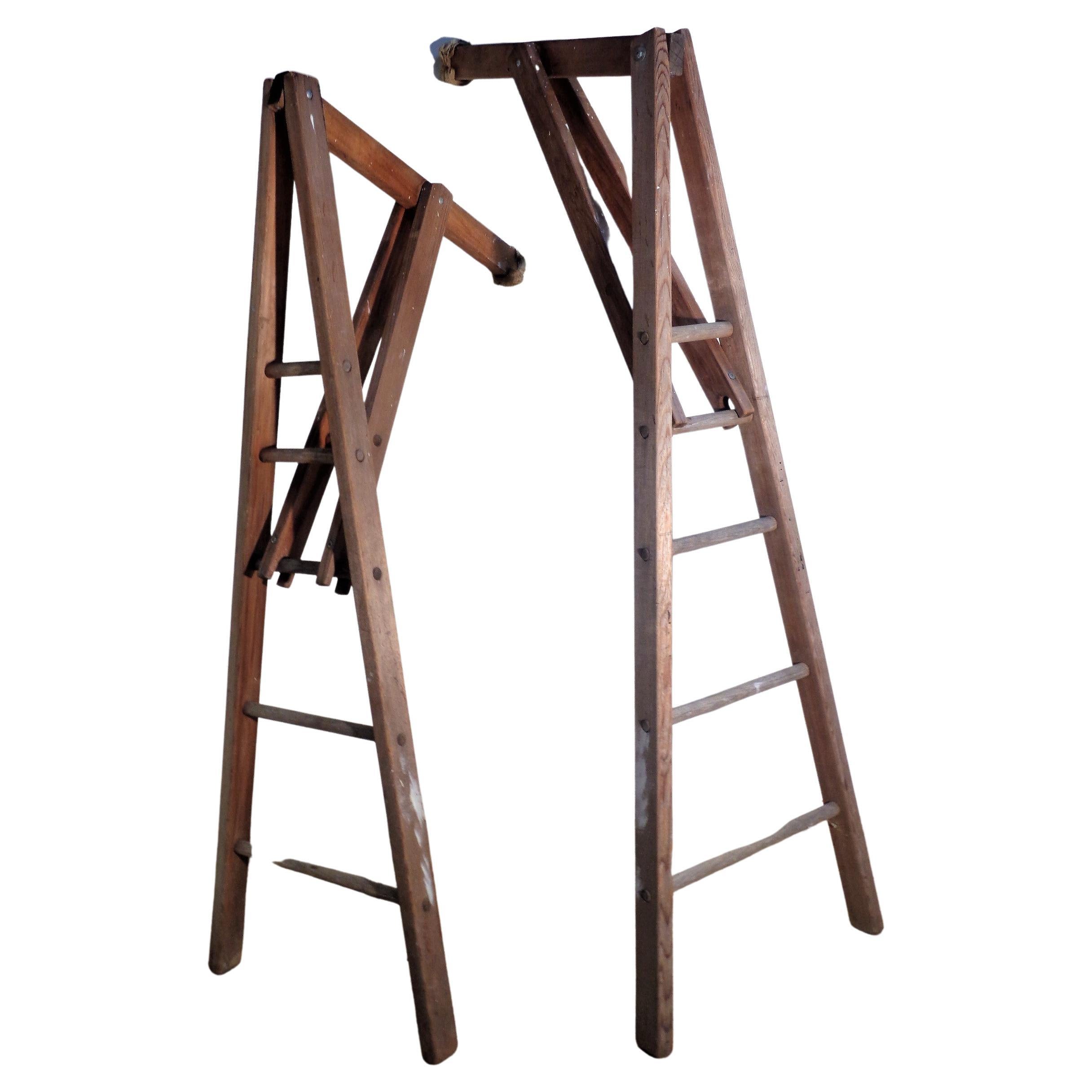 Unusual Old Peak Top Adjustable Arm Orchard Ladders For Sale 1